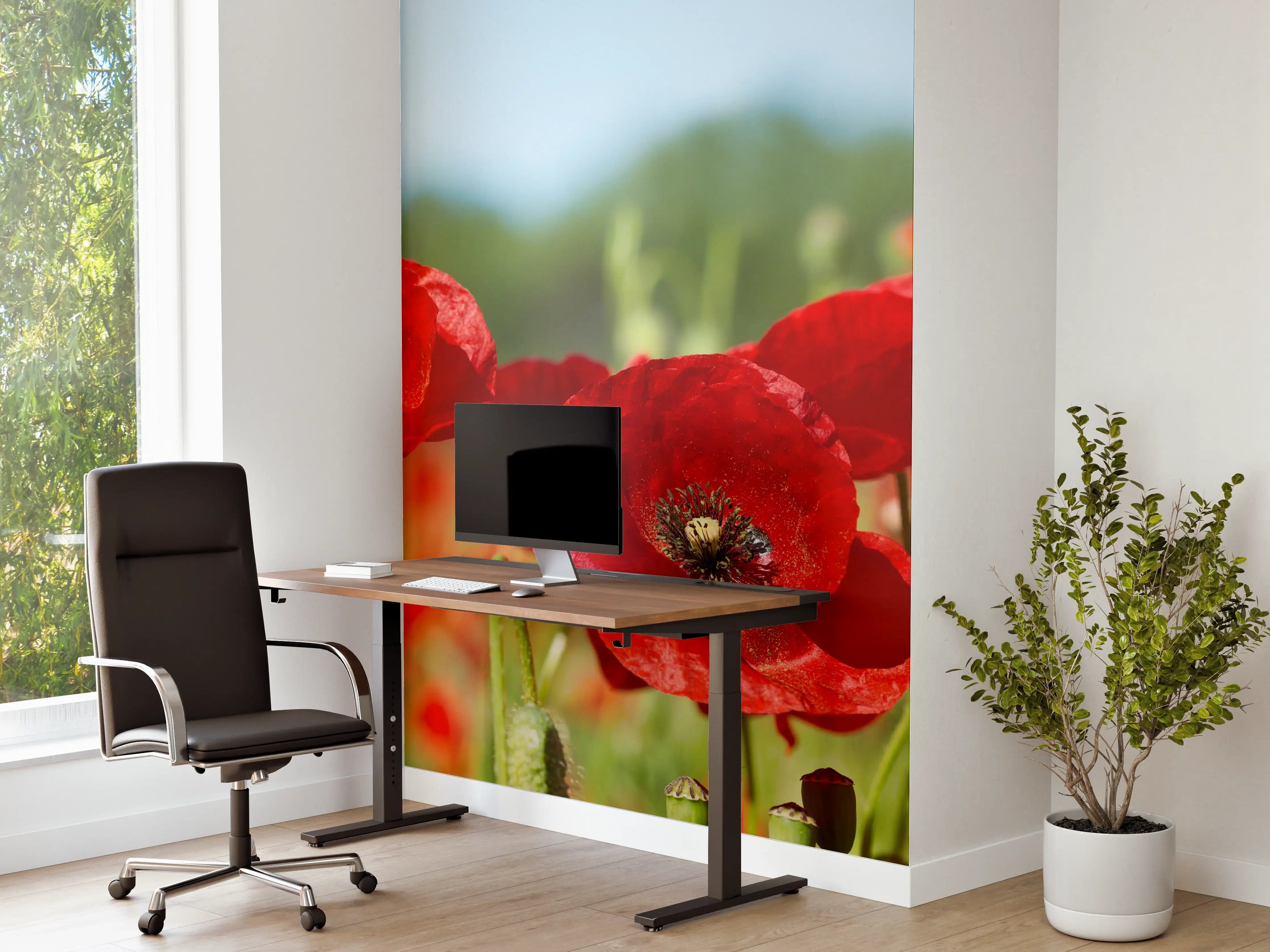 Büro Wandgestaltung - Rote Mohnblumen auf einem Feld