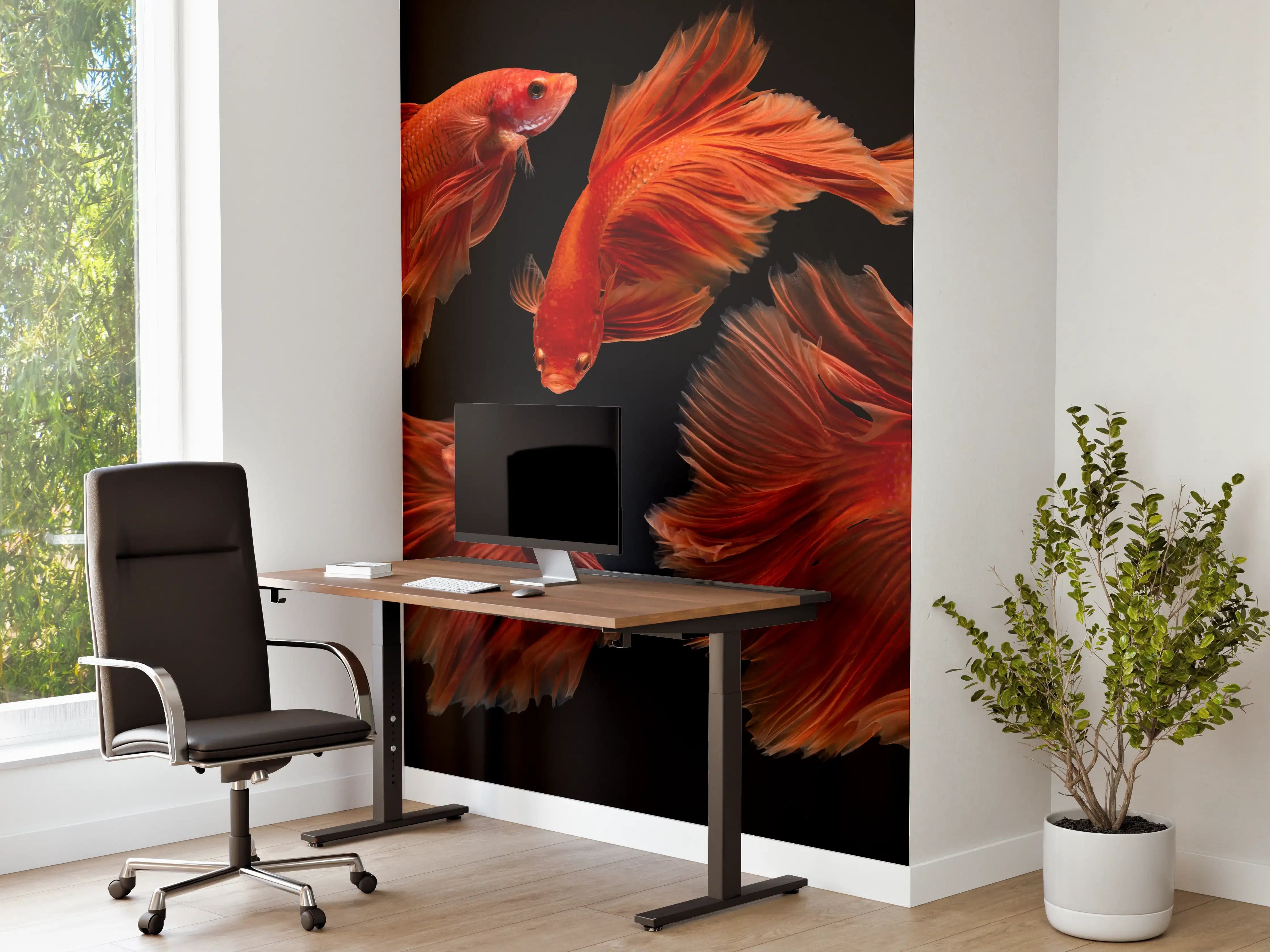 Büro Wandgestaltung - Roter Betta Fisch