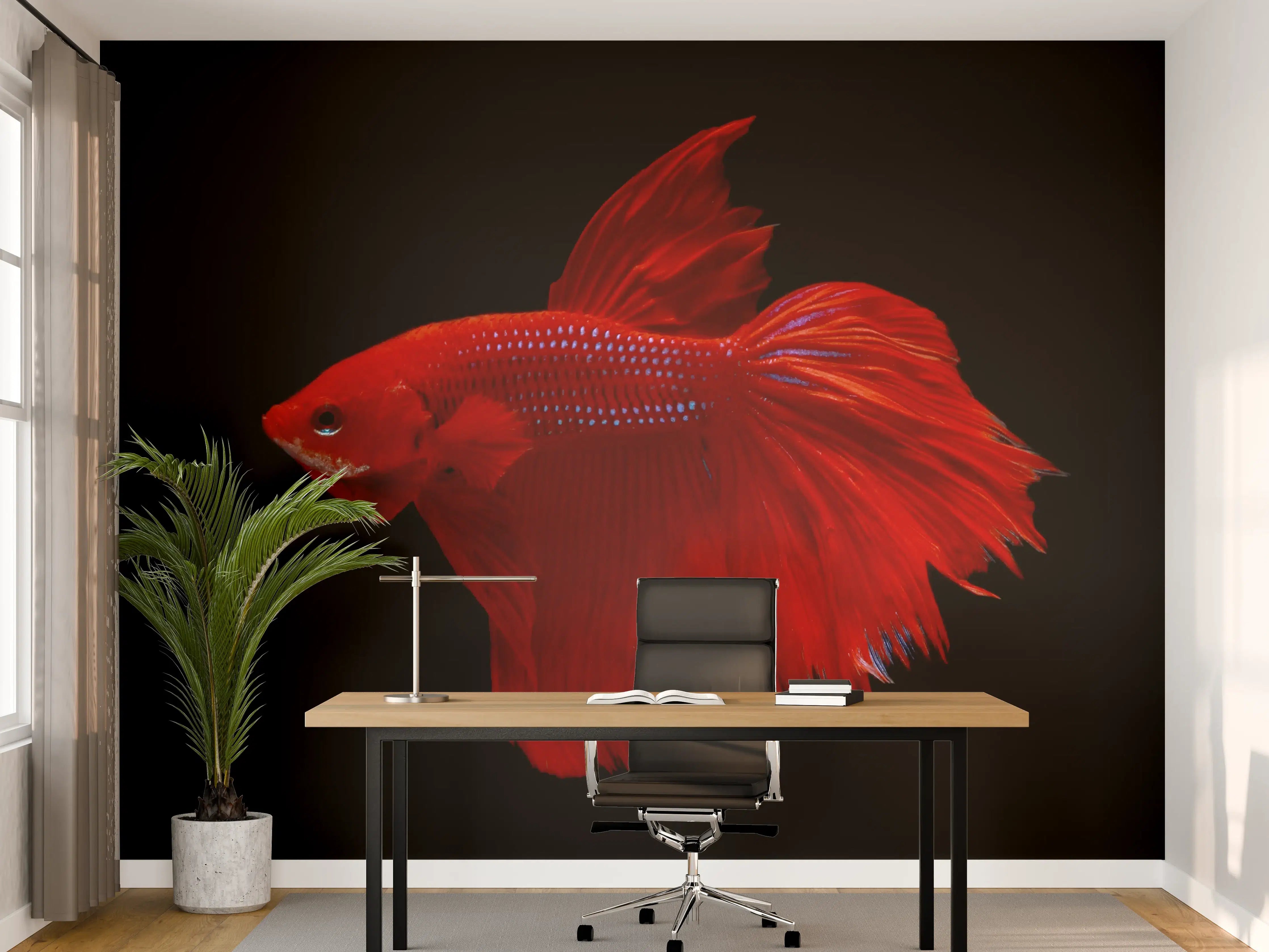 Büro Wandgestaltung - Roter Betta-Kampffisch
