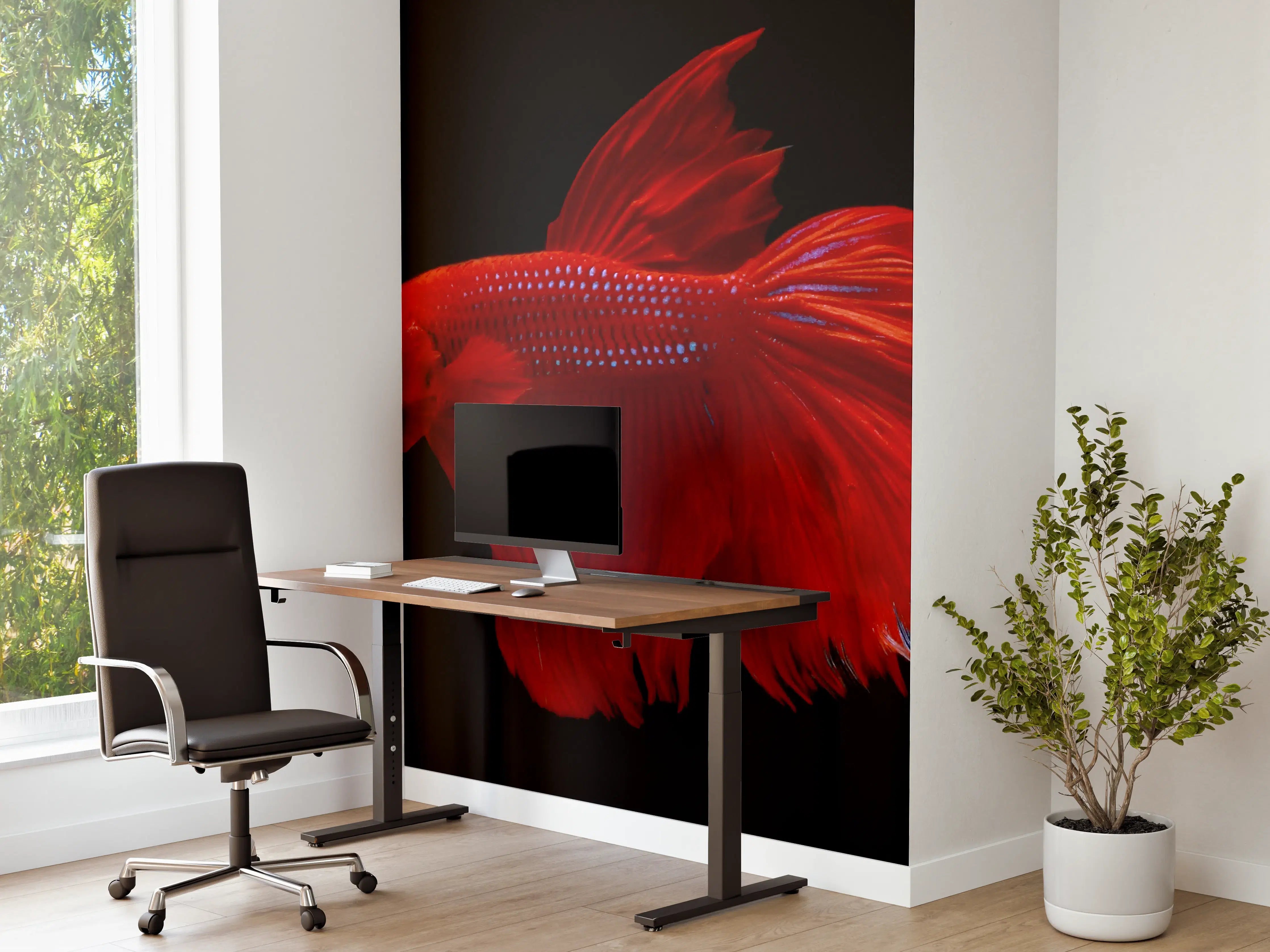 Büro Wandgestaltung - Roter Betta-Kampffisch