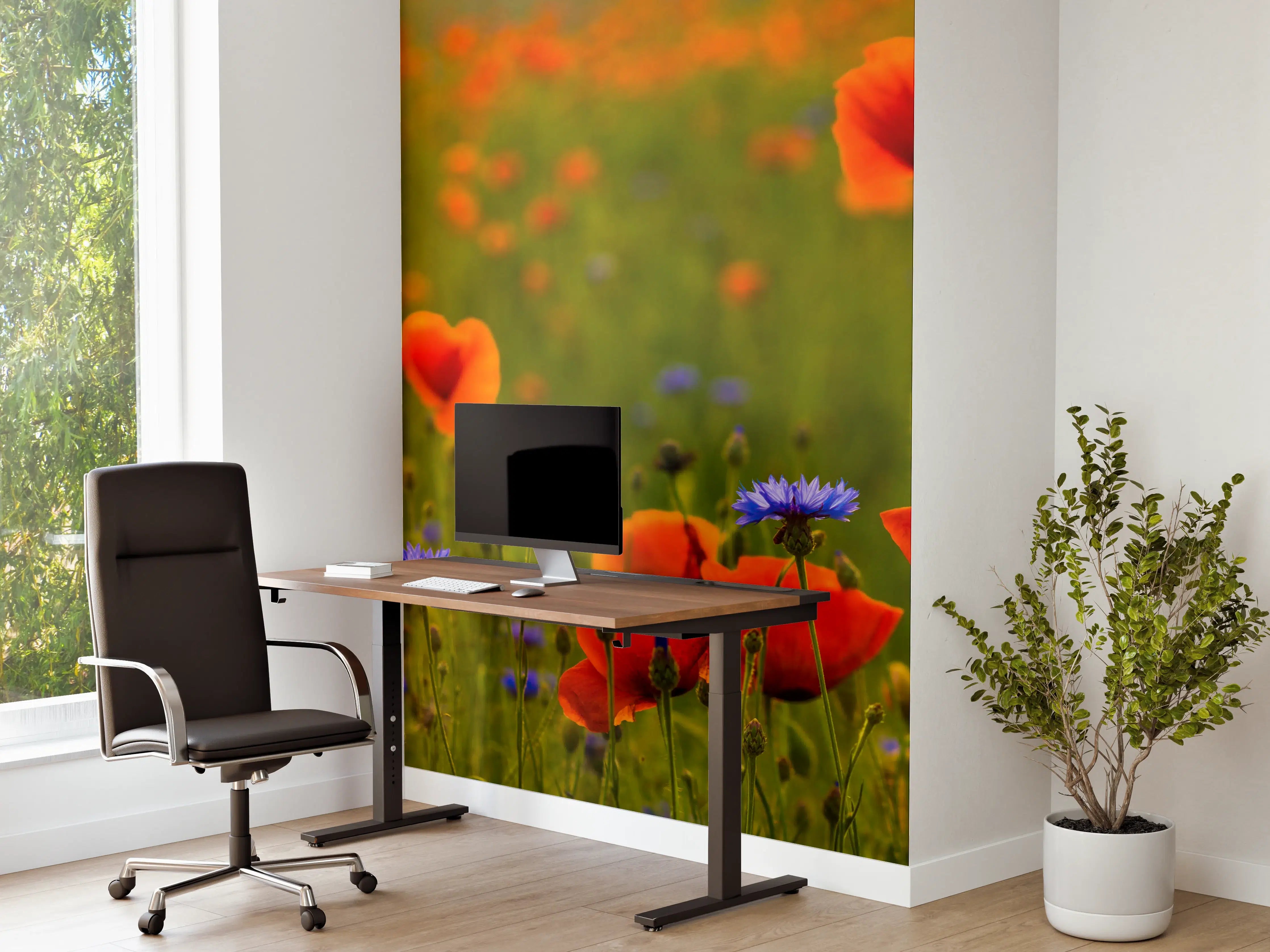 Büro Wandgestaltung - Rotes Mohnfeld mit Kornblumen