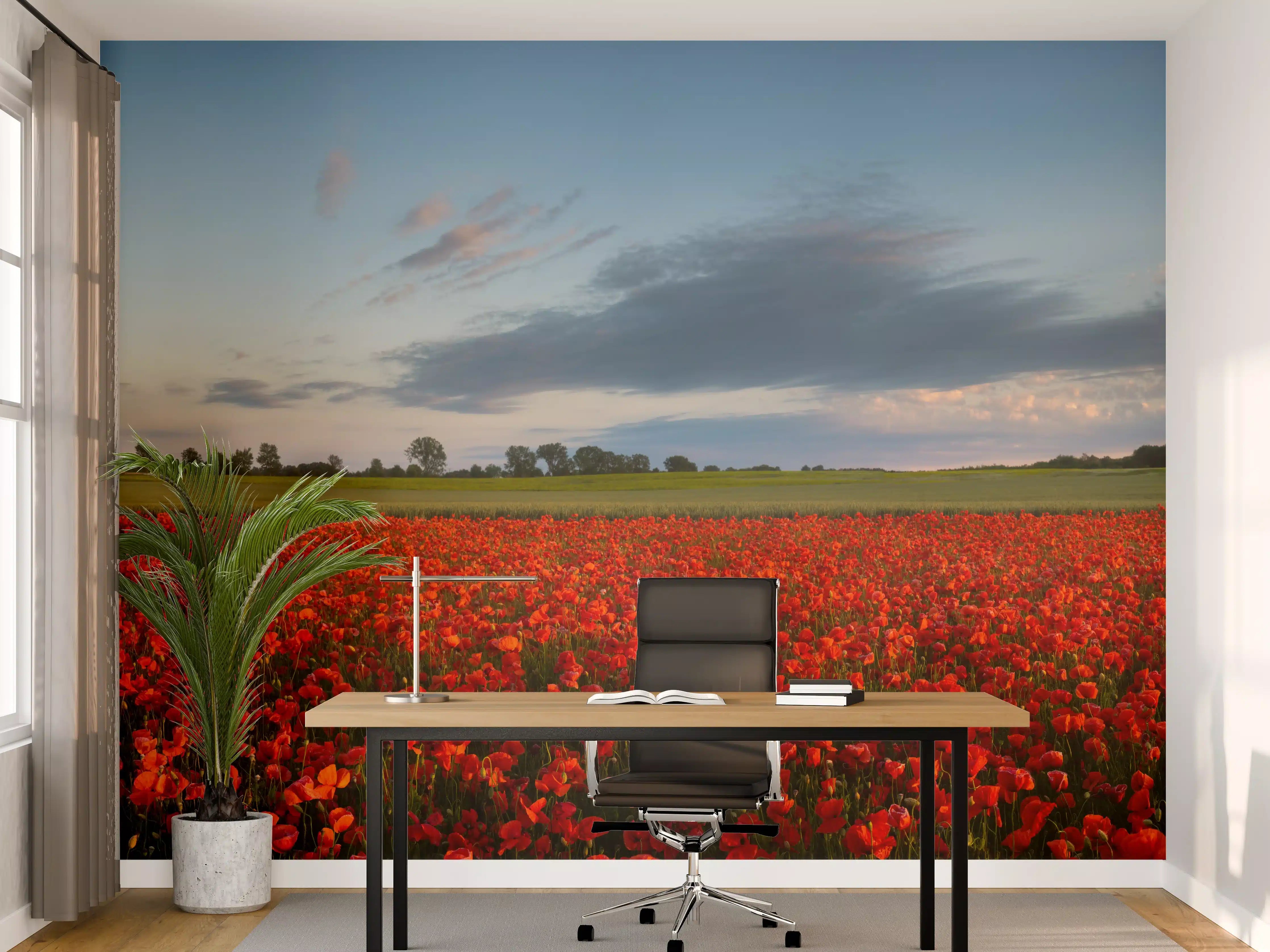 Büro Wandgestaltung - Rotes Mohnfeld unter blauem Himmel