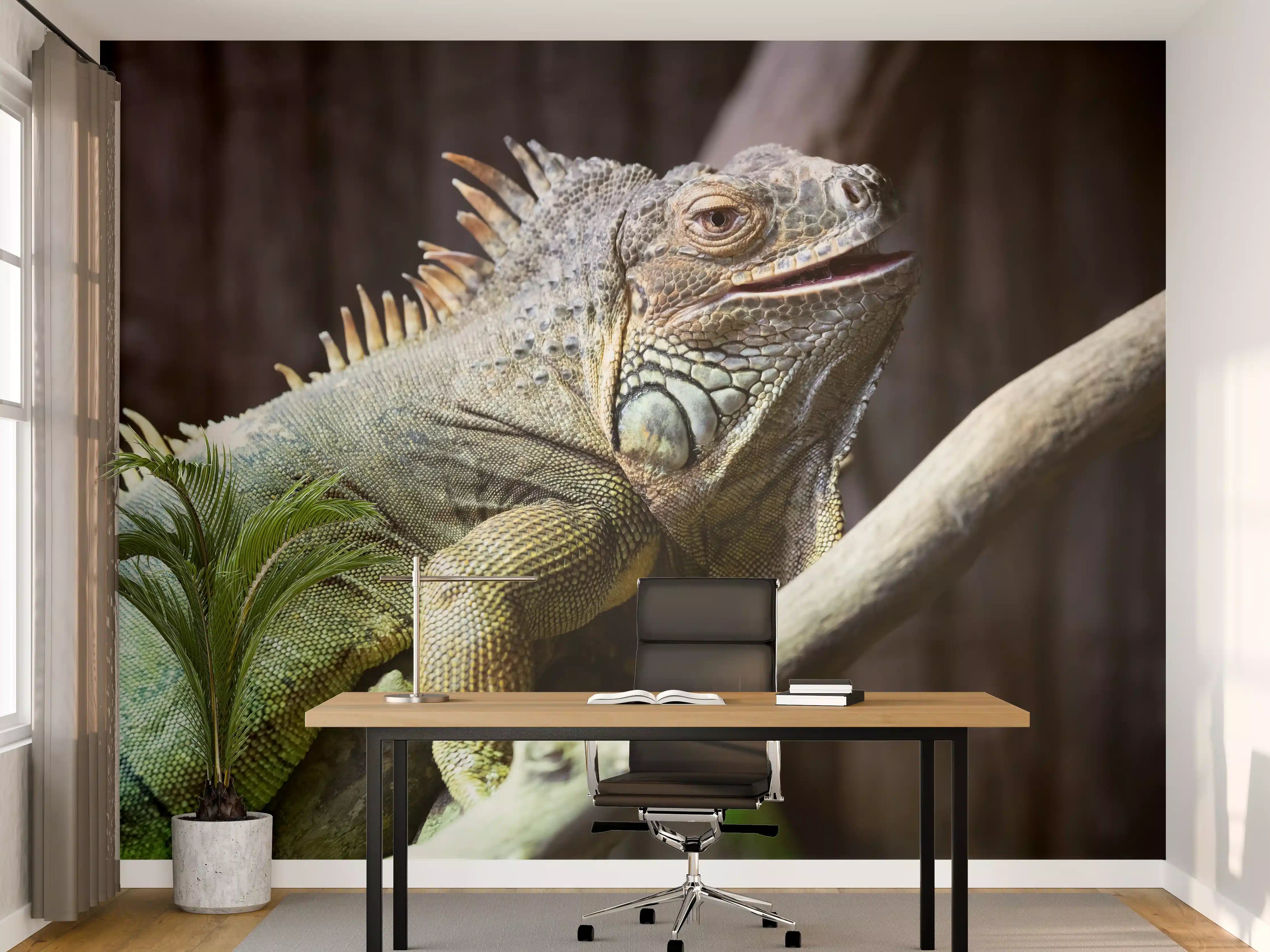 Büro Wandgestaltung - Ruhender Leguan