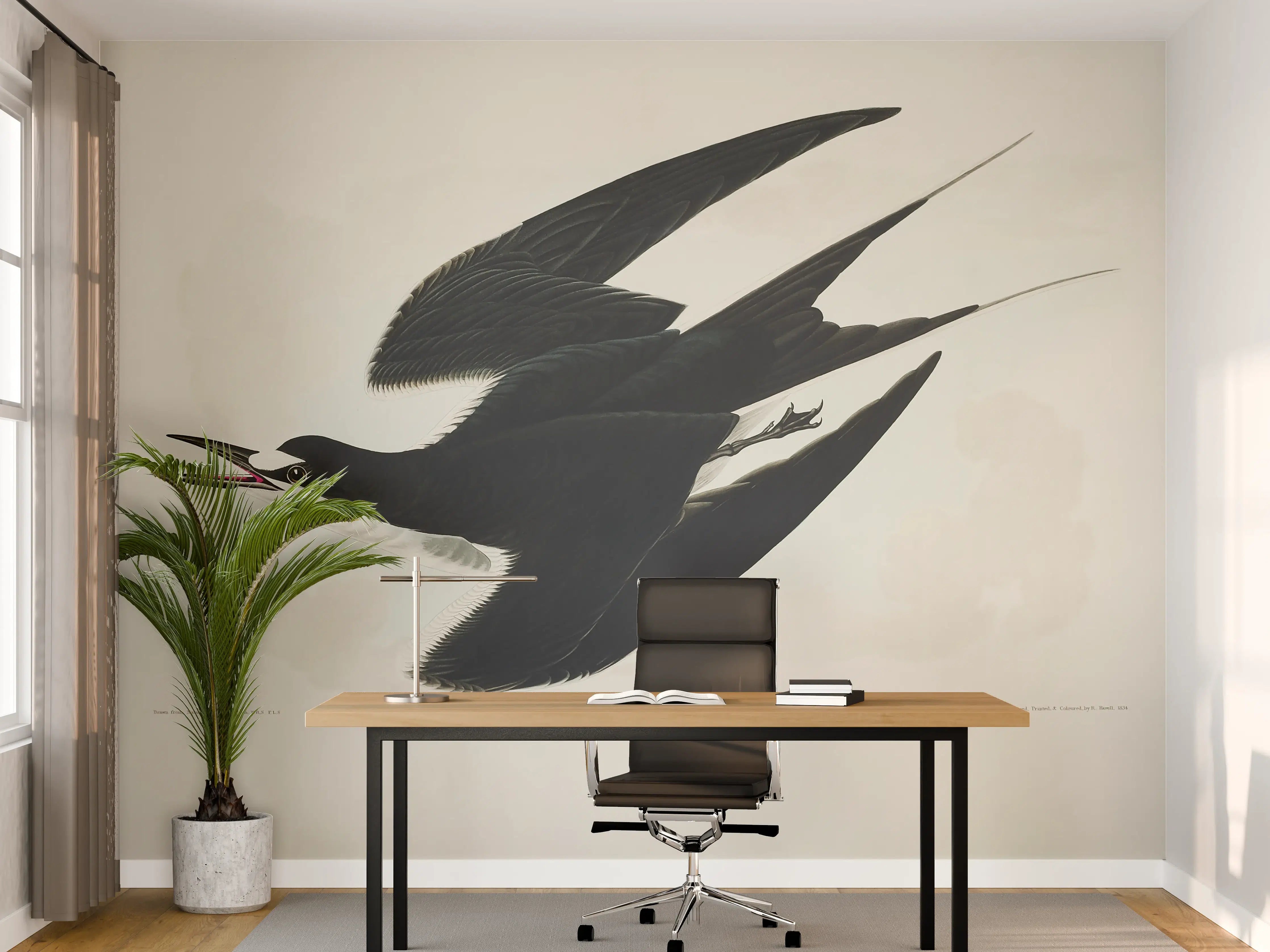 Büro Wandgestaltung - Rußseeschwalbe Portrait - John James Audubon