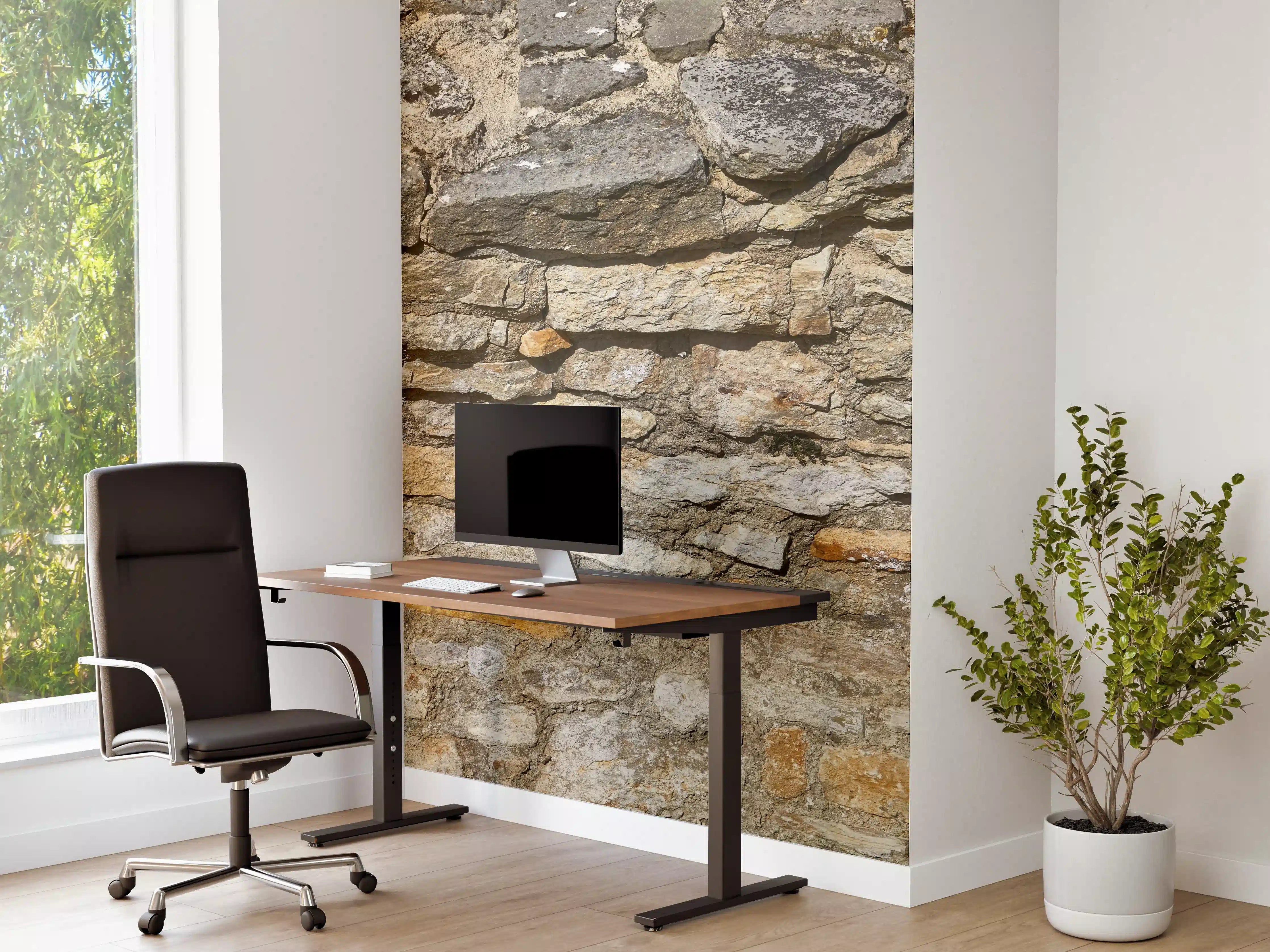 Büro Wandgestaltung - Rustikale Burgmauer