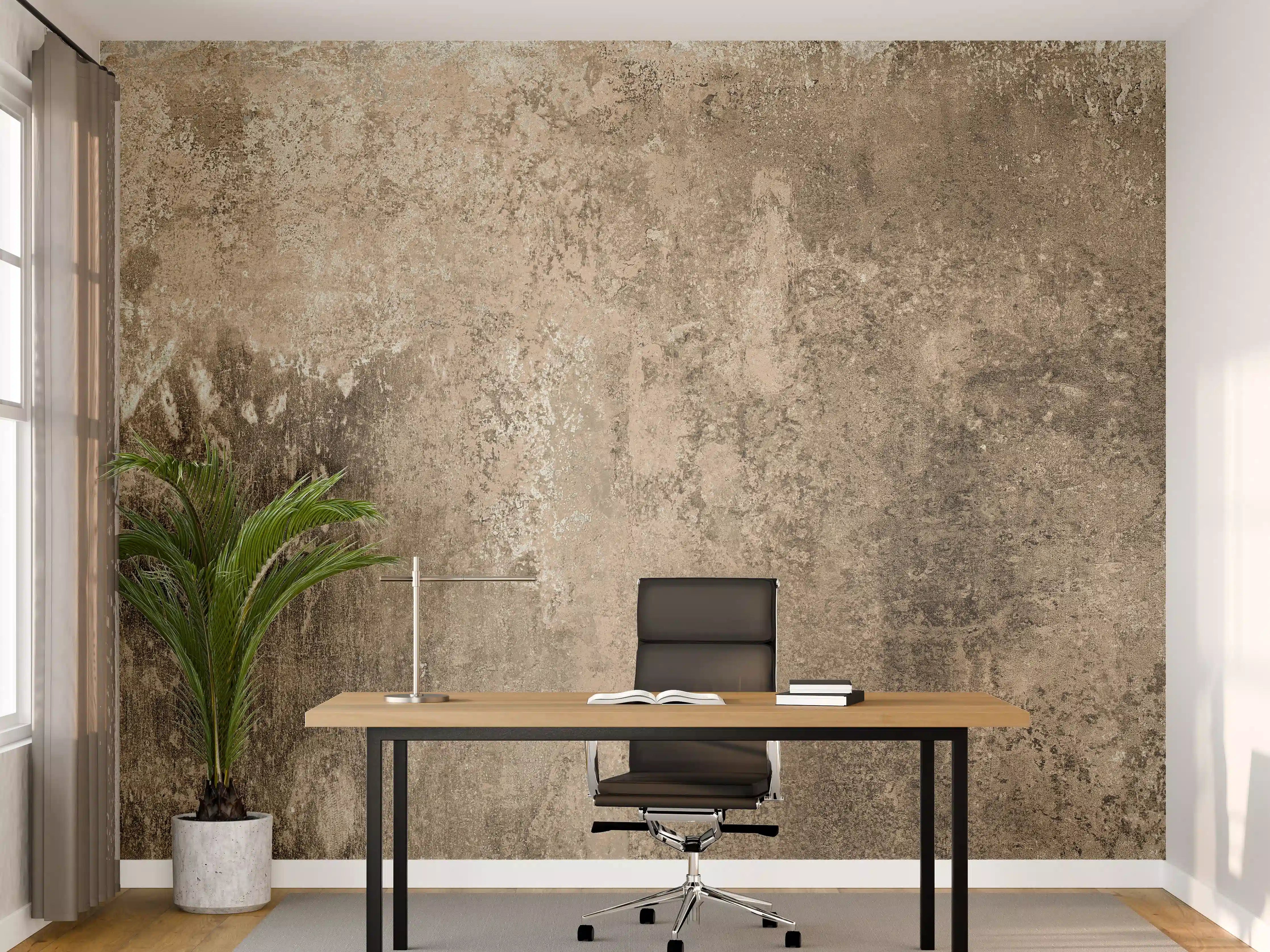 Büro Wandgestaltung - Rustikale Marmor Textur - Naturstein