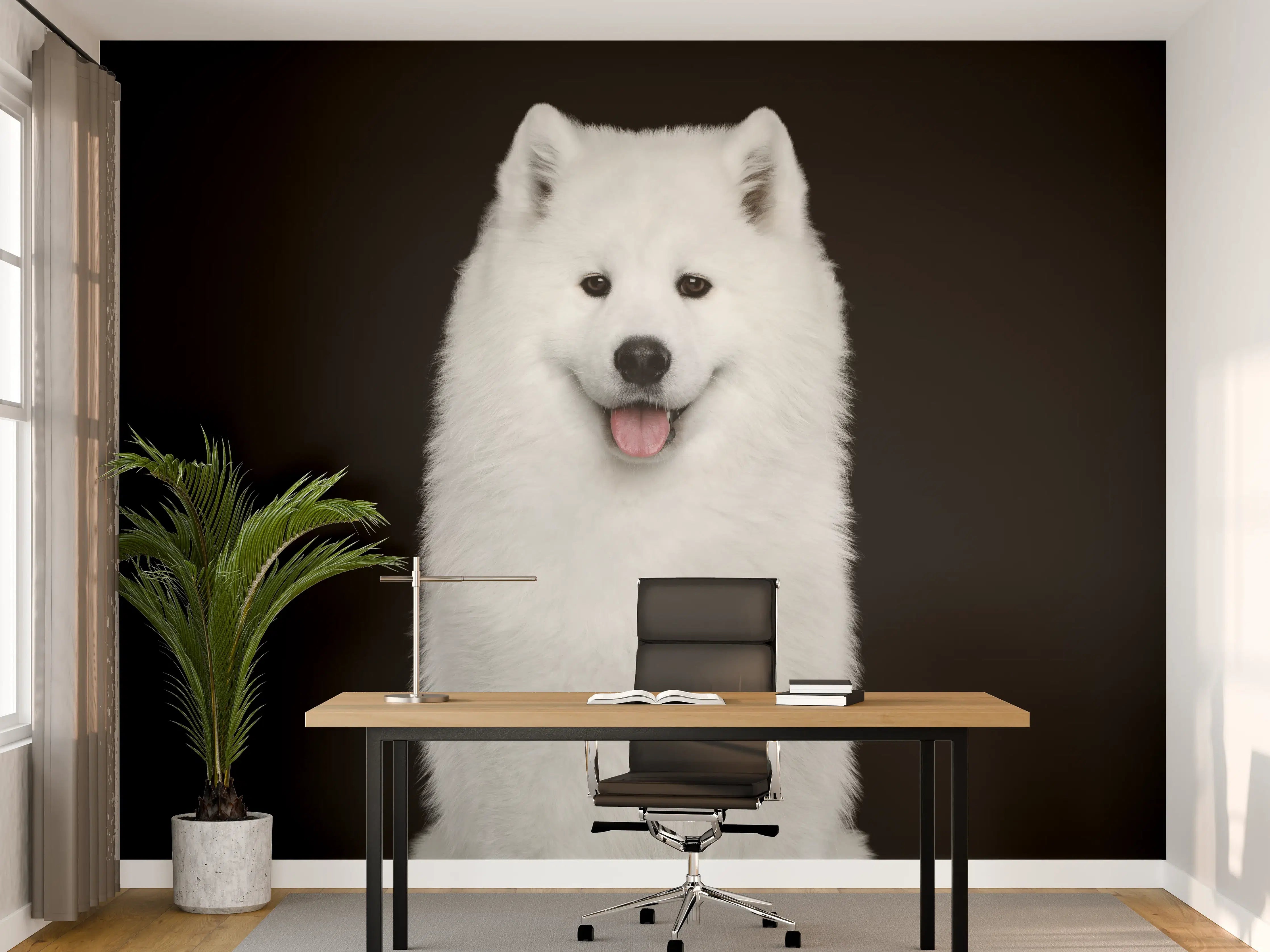 Büro Wandgestaltung - Samojeden Hund
