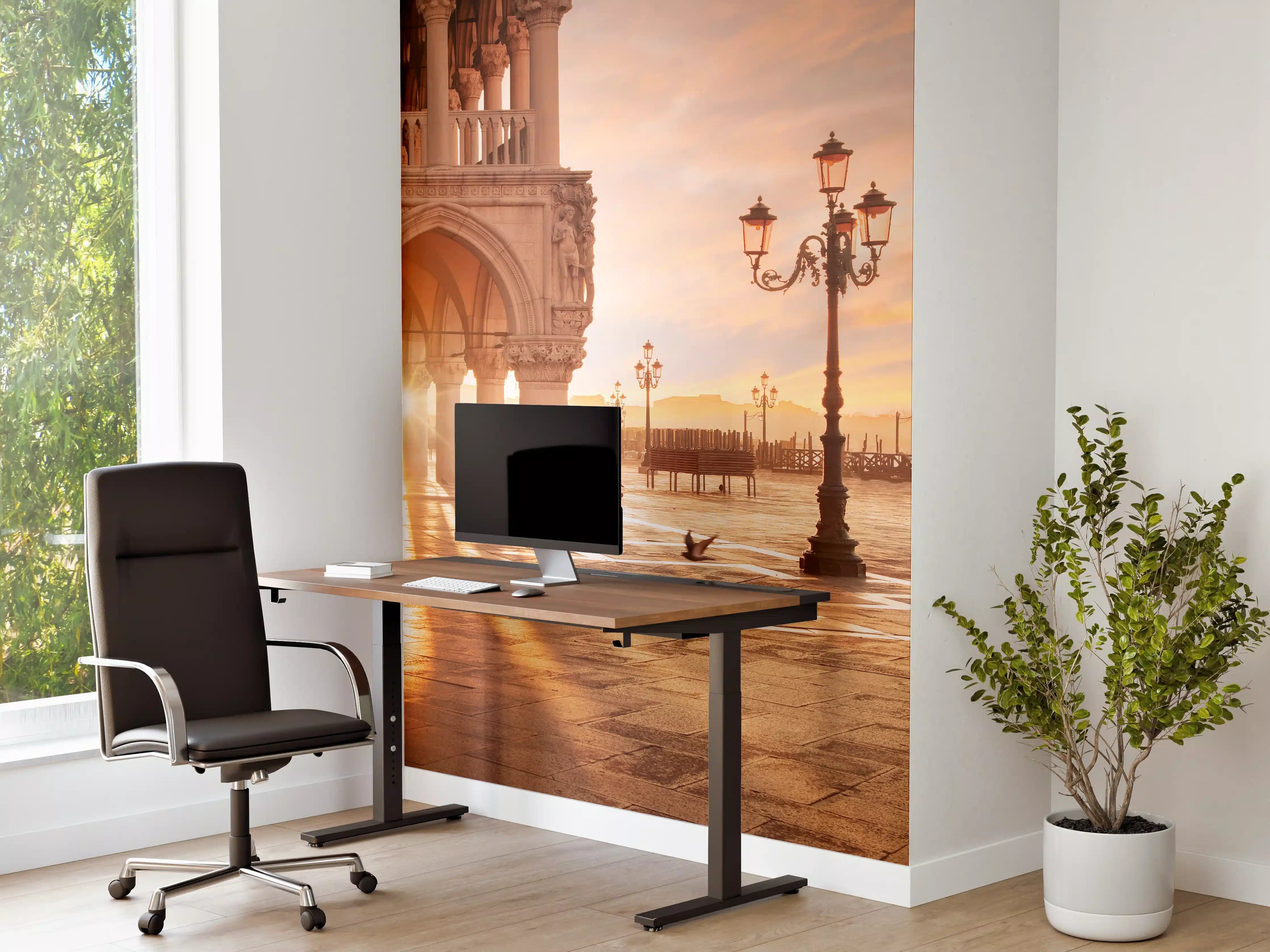 Büro Wandgestaltung - San Marco bei Abendsonne in Venedig