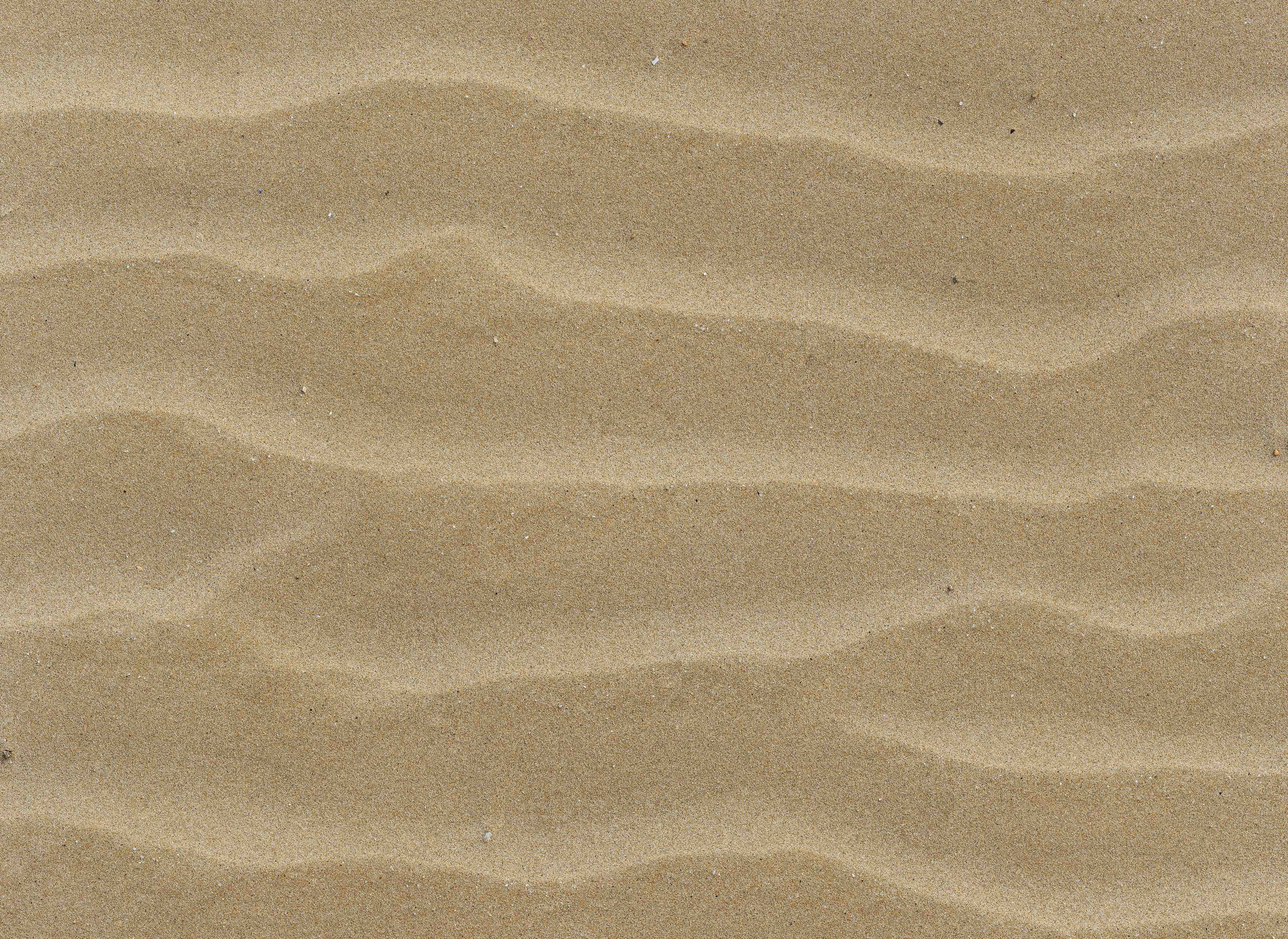 Büro Wandgestaltung-Sandstrand