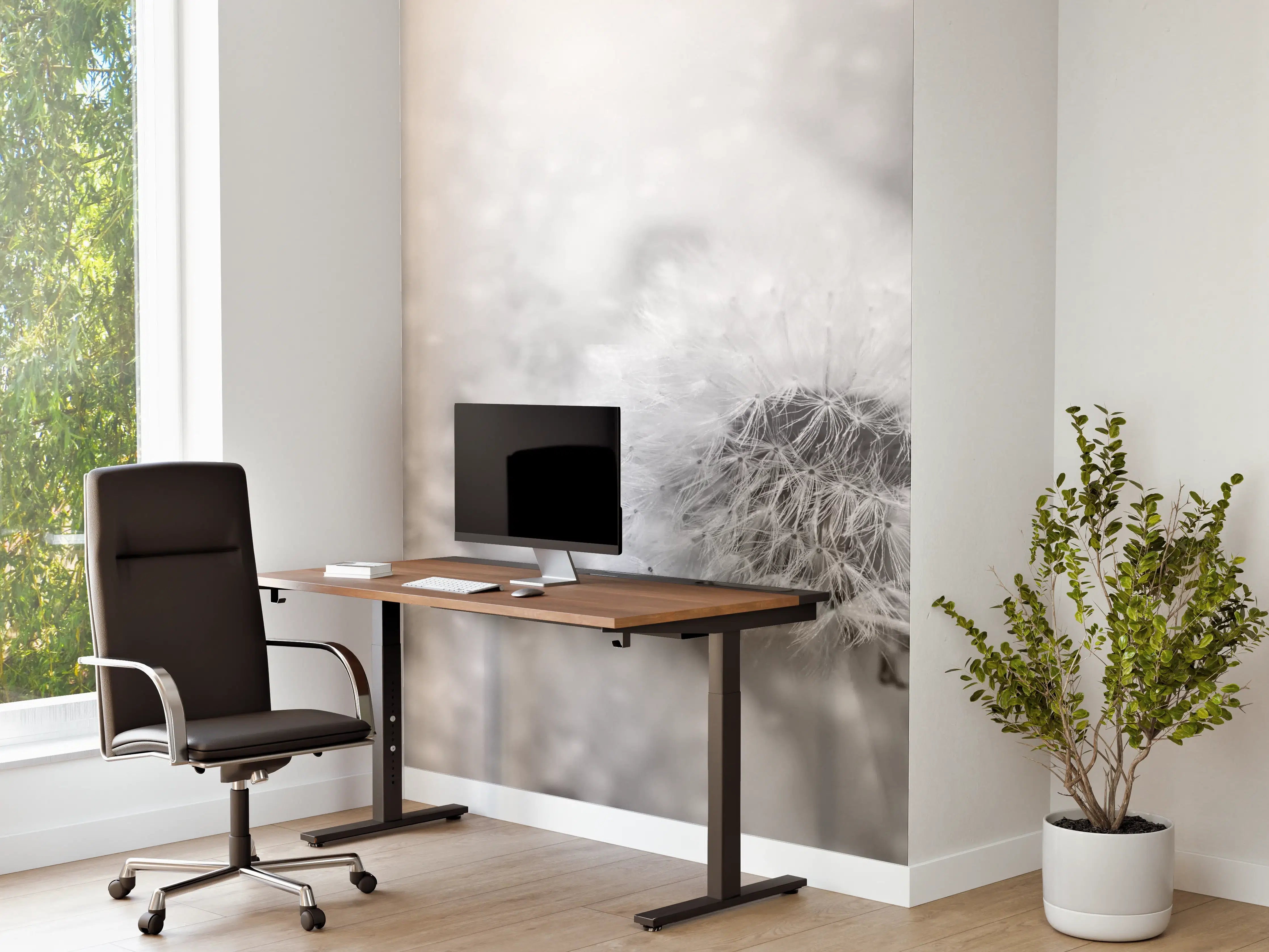 Büro Wandgestaltung - Sanfte Pusteblumen im Graufilter