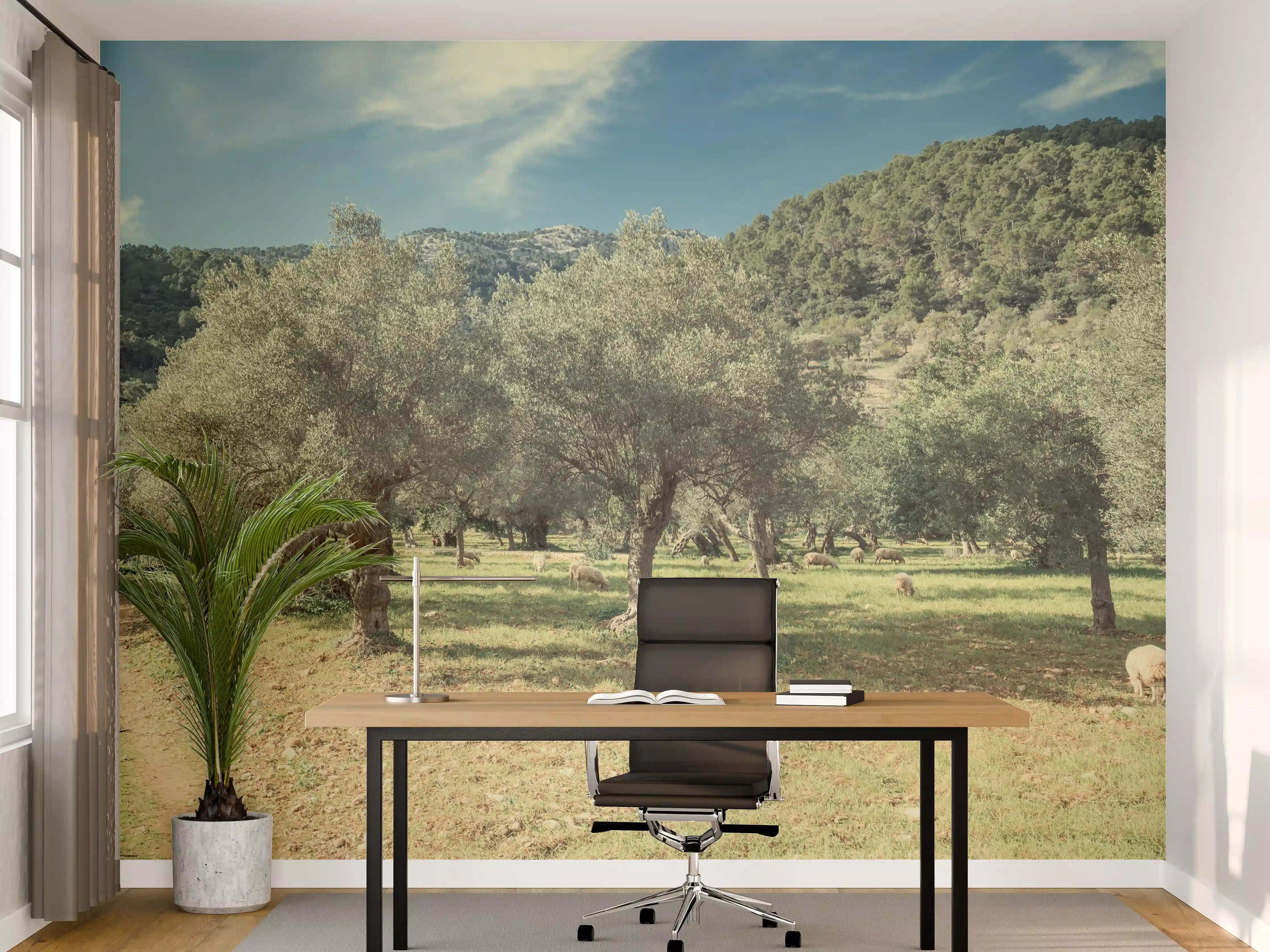 Büro Wandgestaltung - Sanfter Olivenhain im Grau-Glanz
