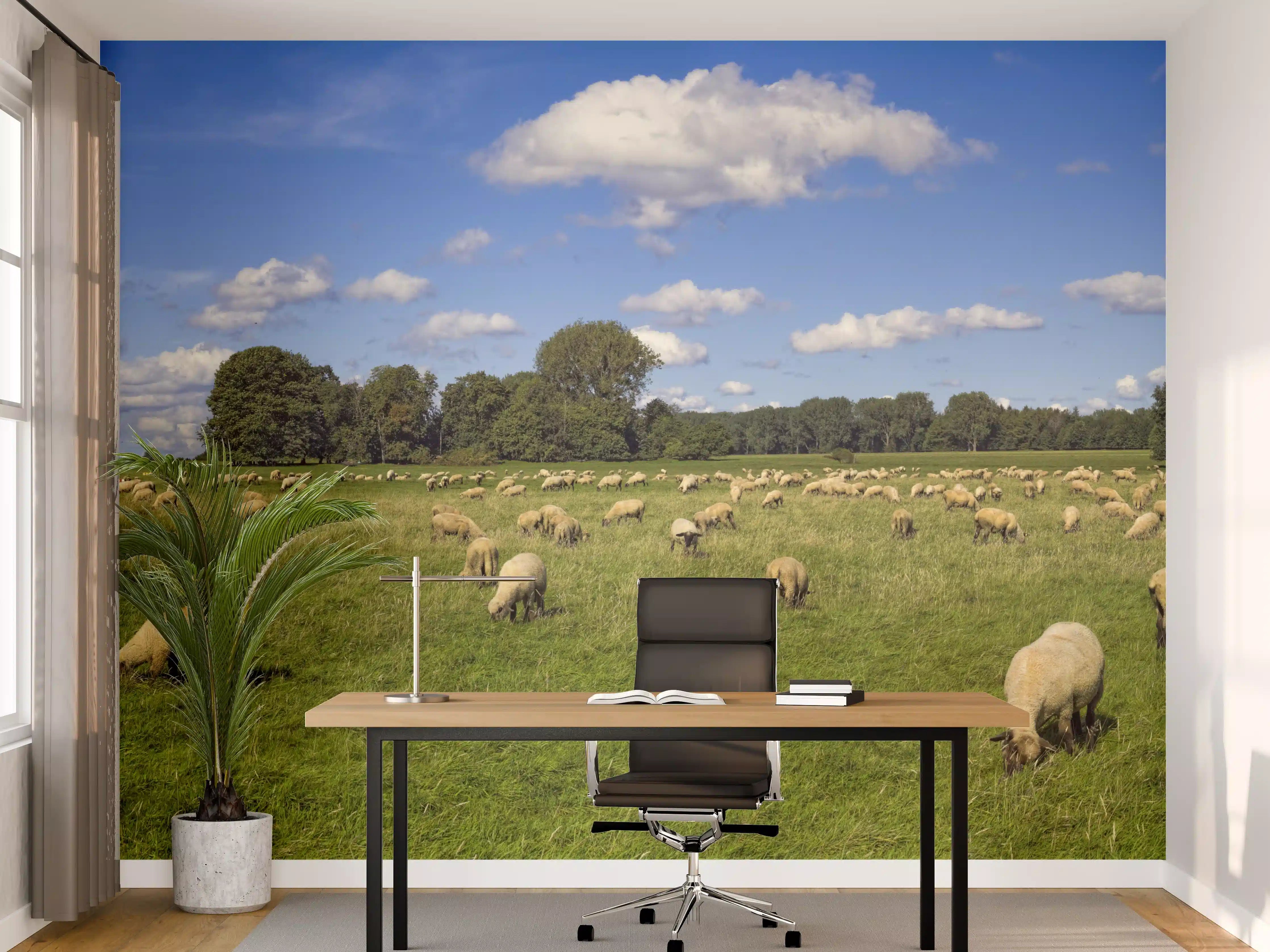 Büro Wandgestaltung - Schafherde Panorama
