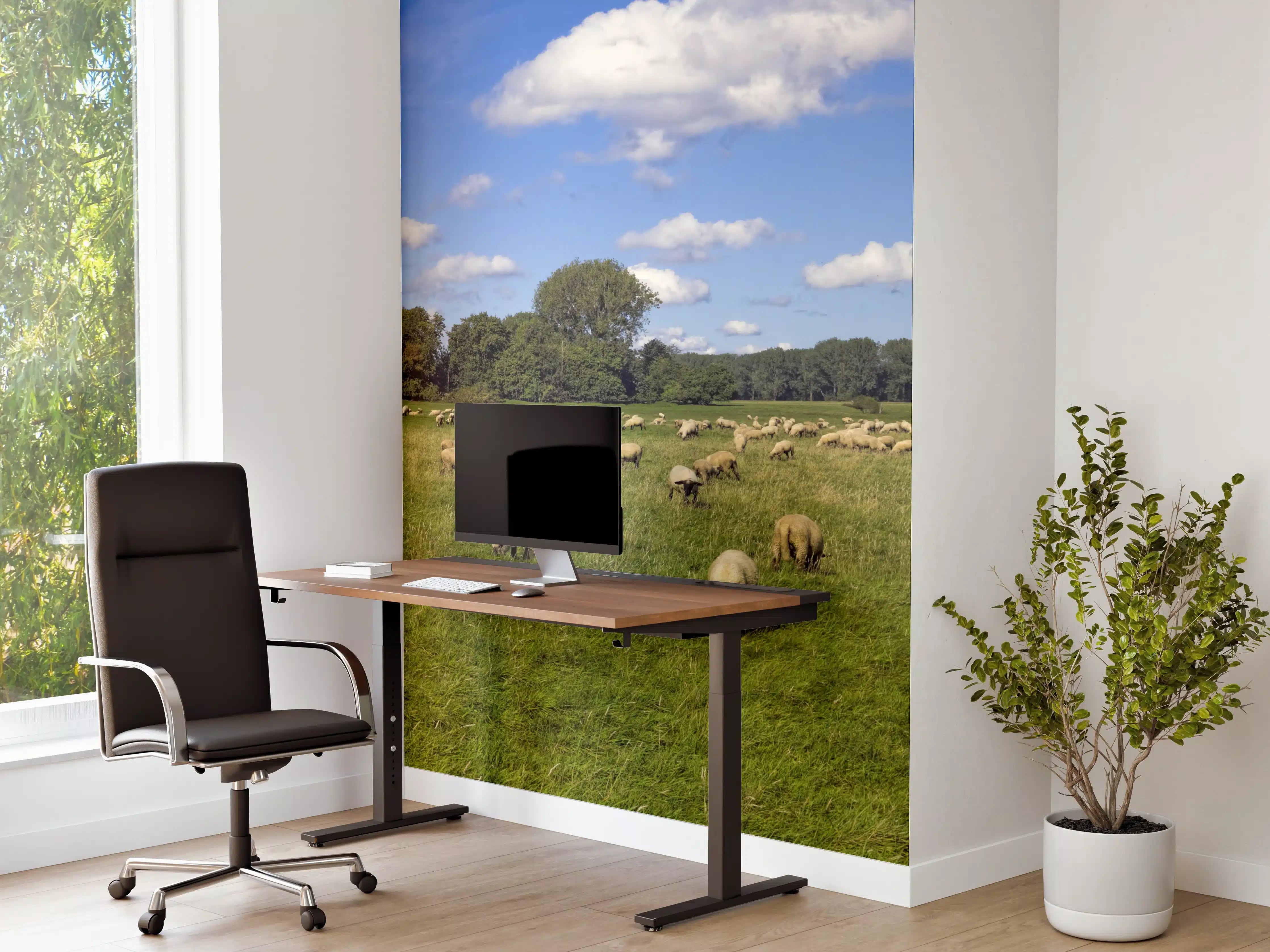 Büro Wandgestaltung - Schafherde Panorama