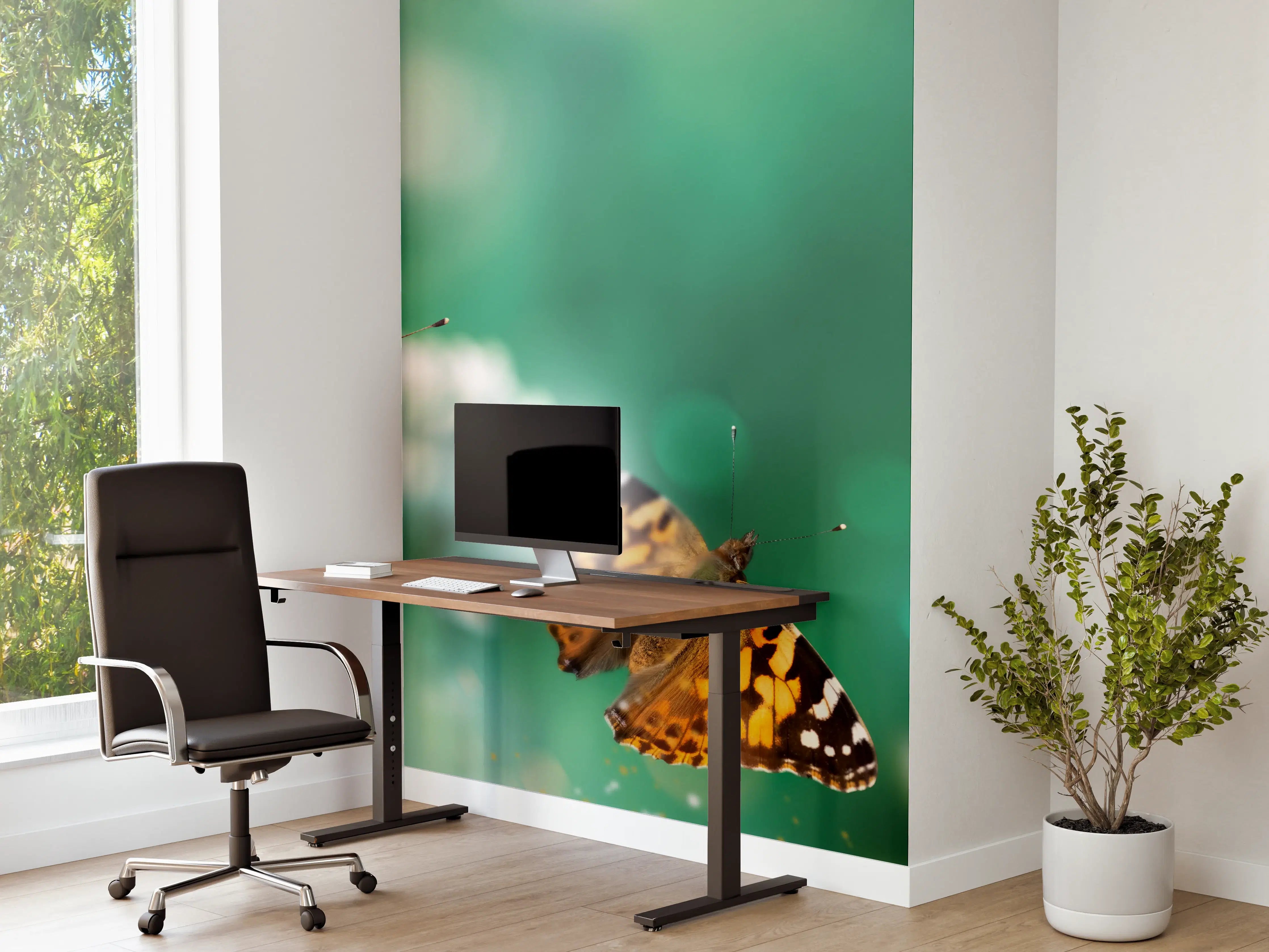 Büro Wandgestaltung - Schmetterling auf Weißkleeblüten