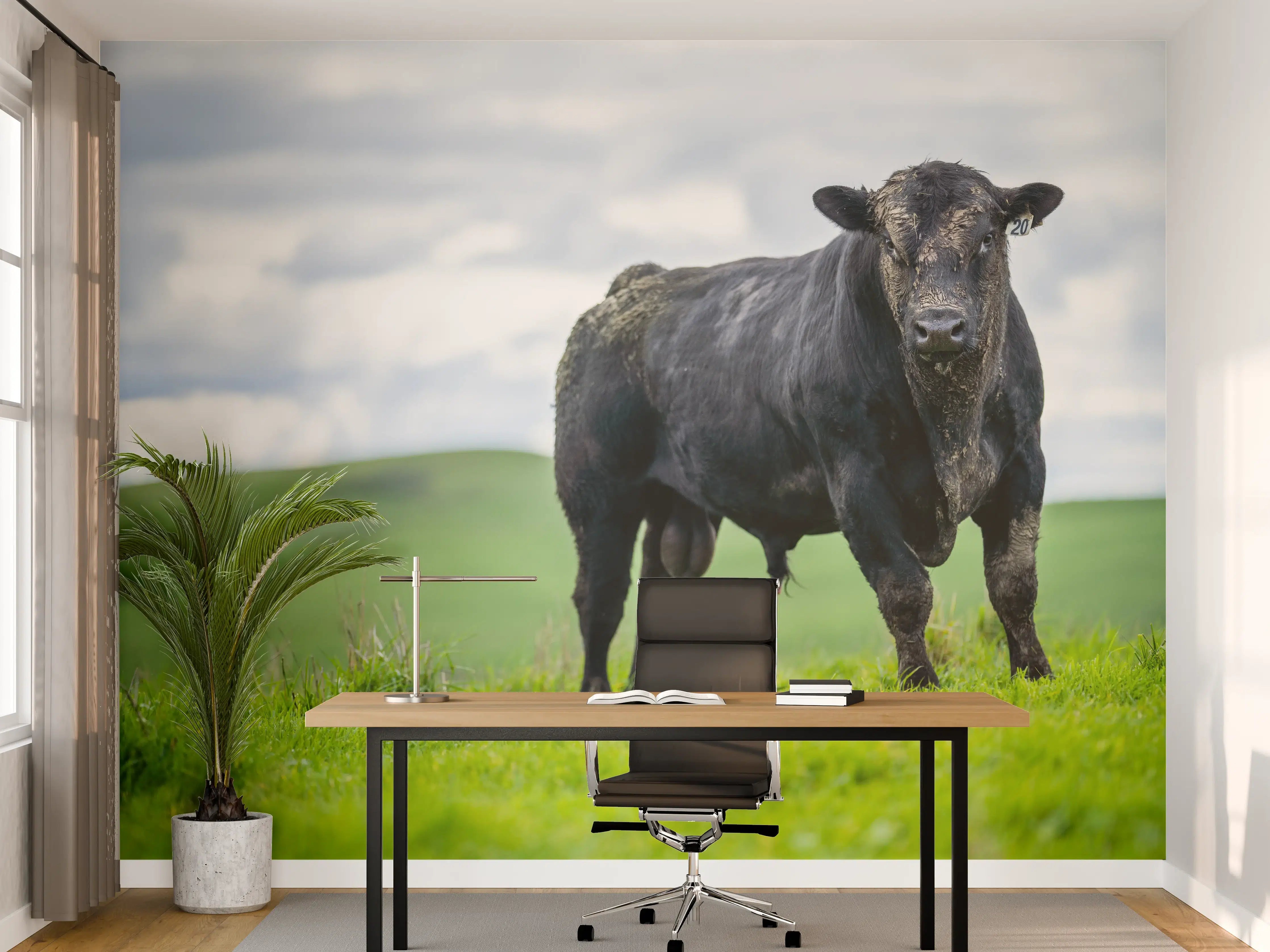 Büro Wandgestaltung - Schmutziger Aberdeen Angus