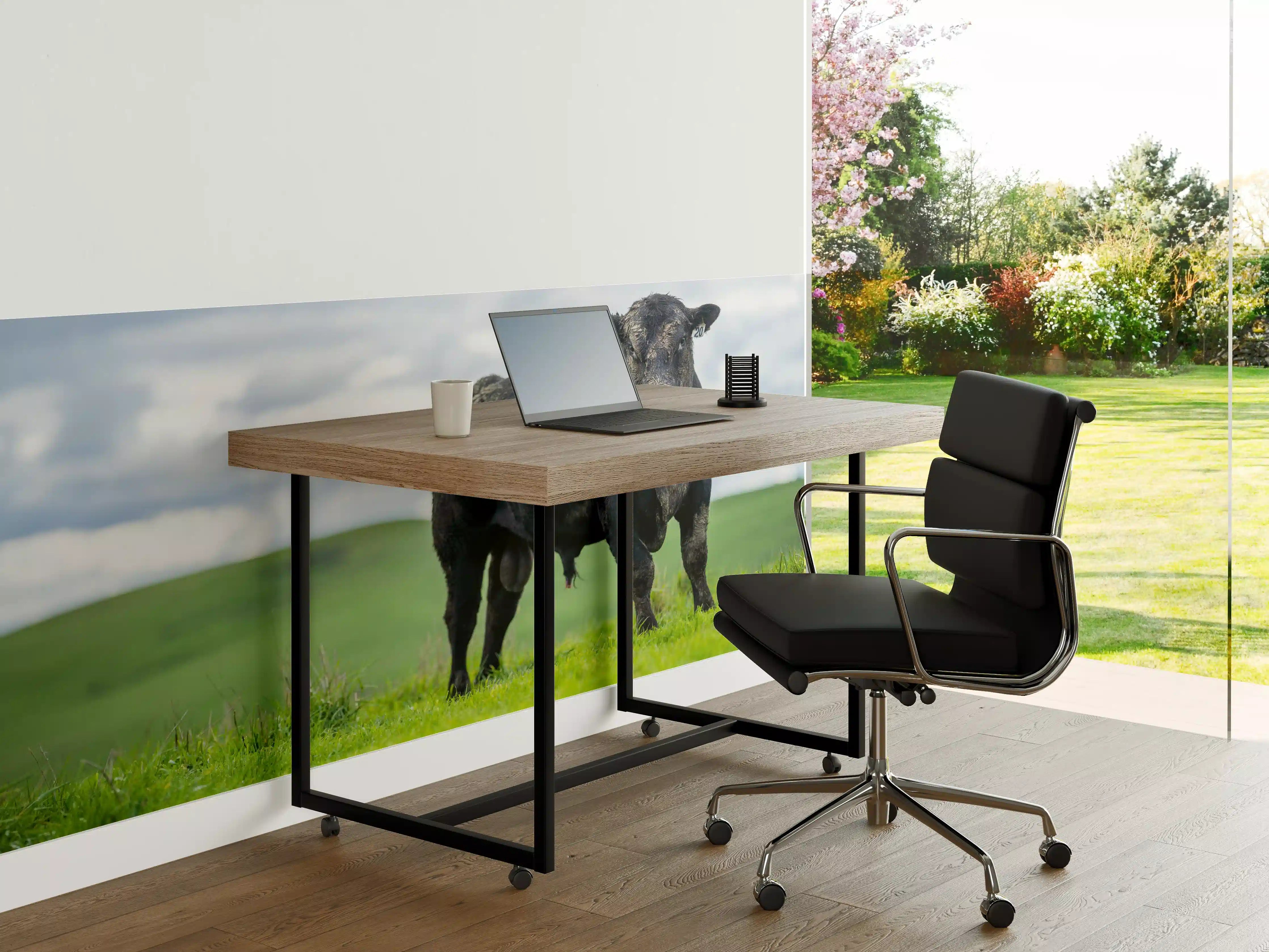 Büro Wandgestaltung - Schmutziger Aberdeen Angus