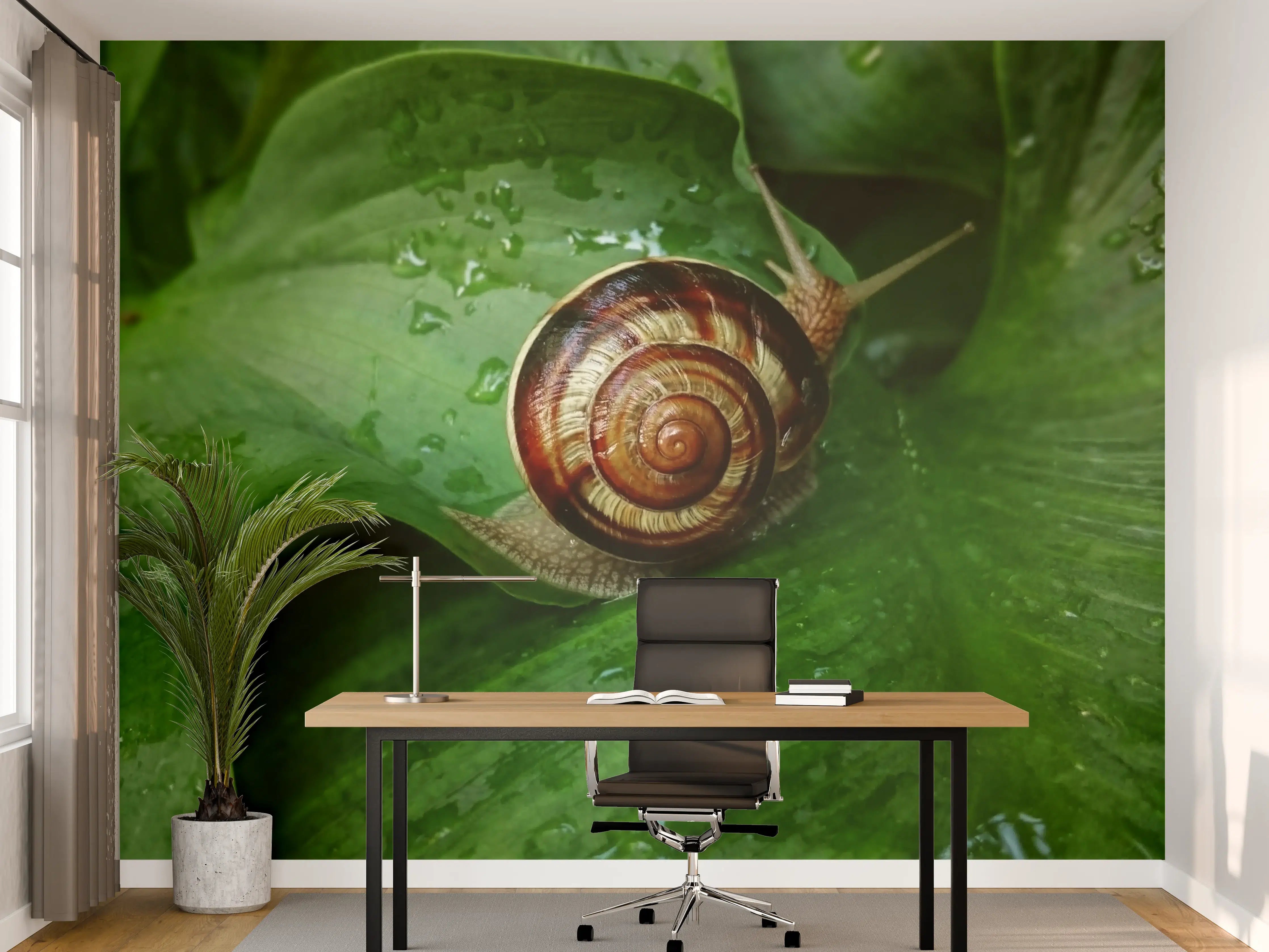 Büro Wandgestaltung - Schnecke auf einem nassen Blatt