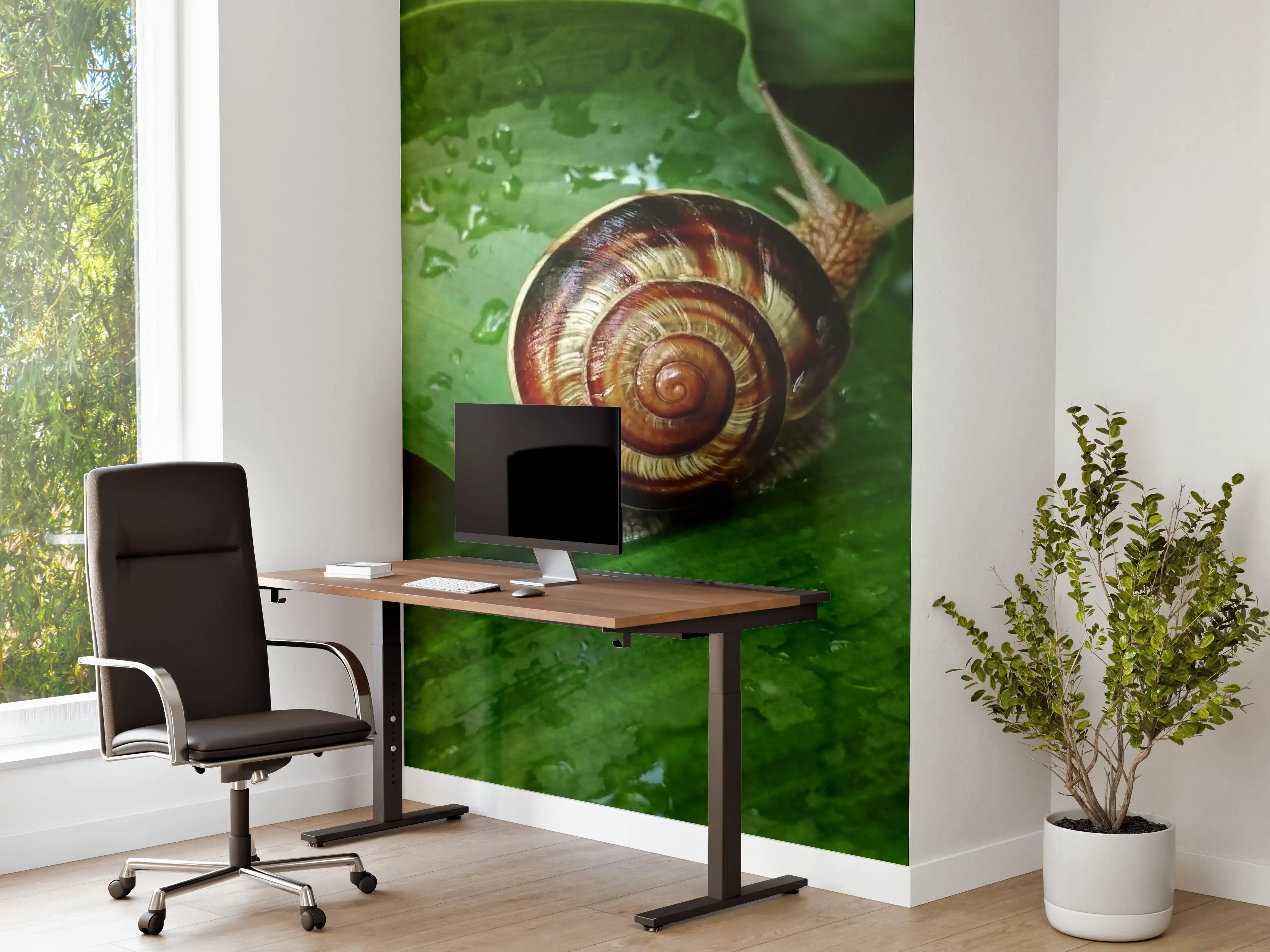 Büro Wandgestaltung - Schnecke auf einem nassen Blatt