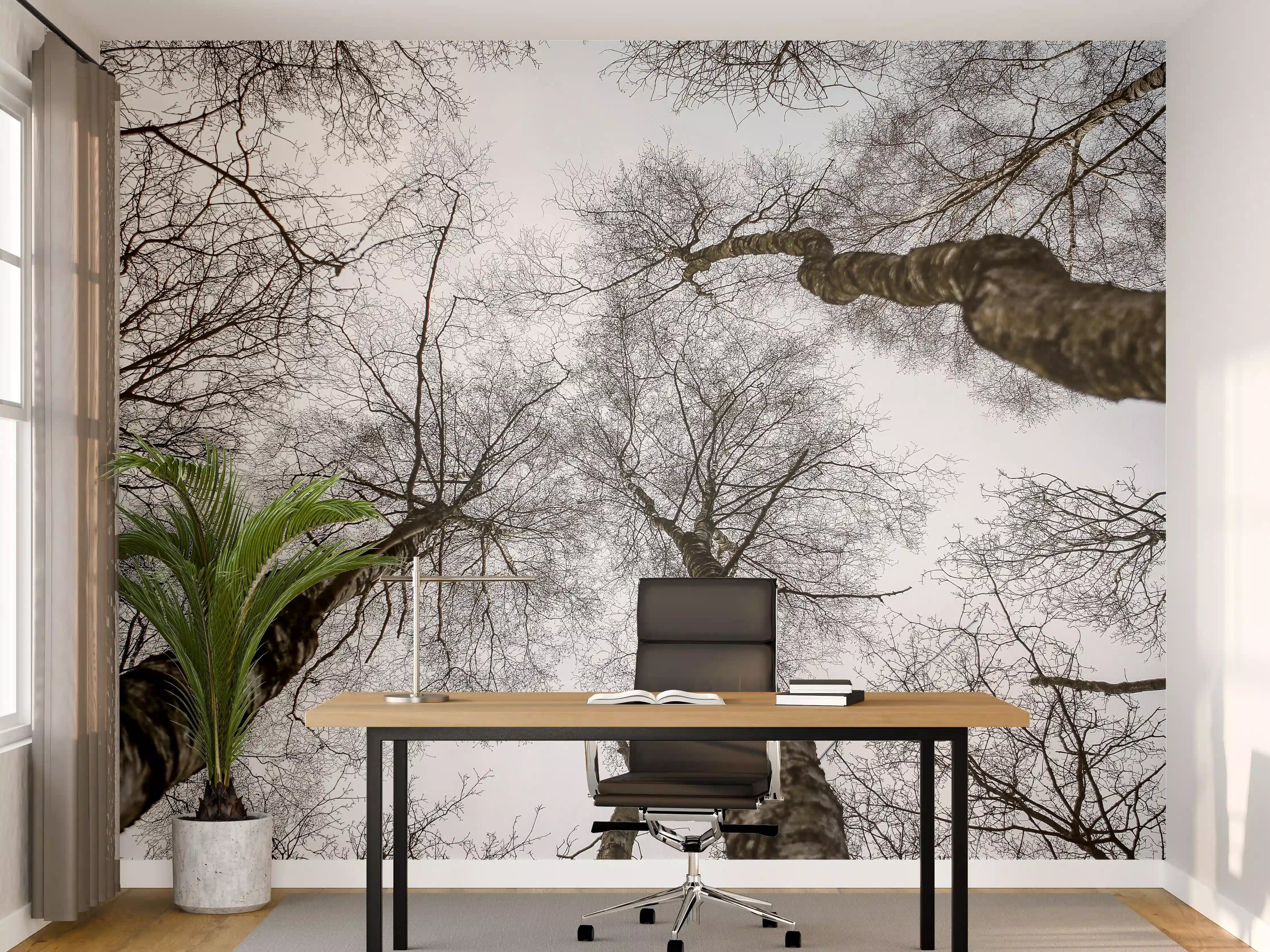 Büro Wandgestaltung - Schnee Wald