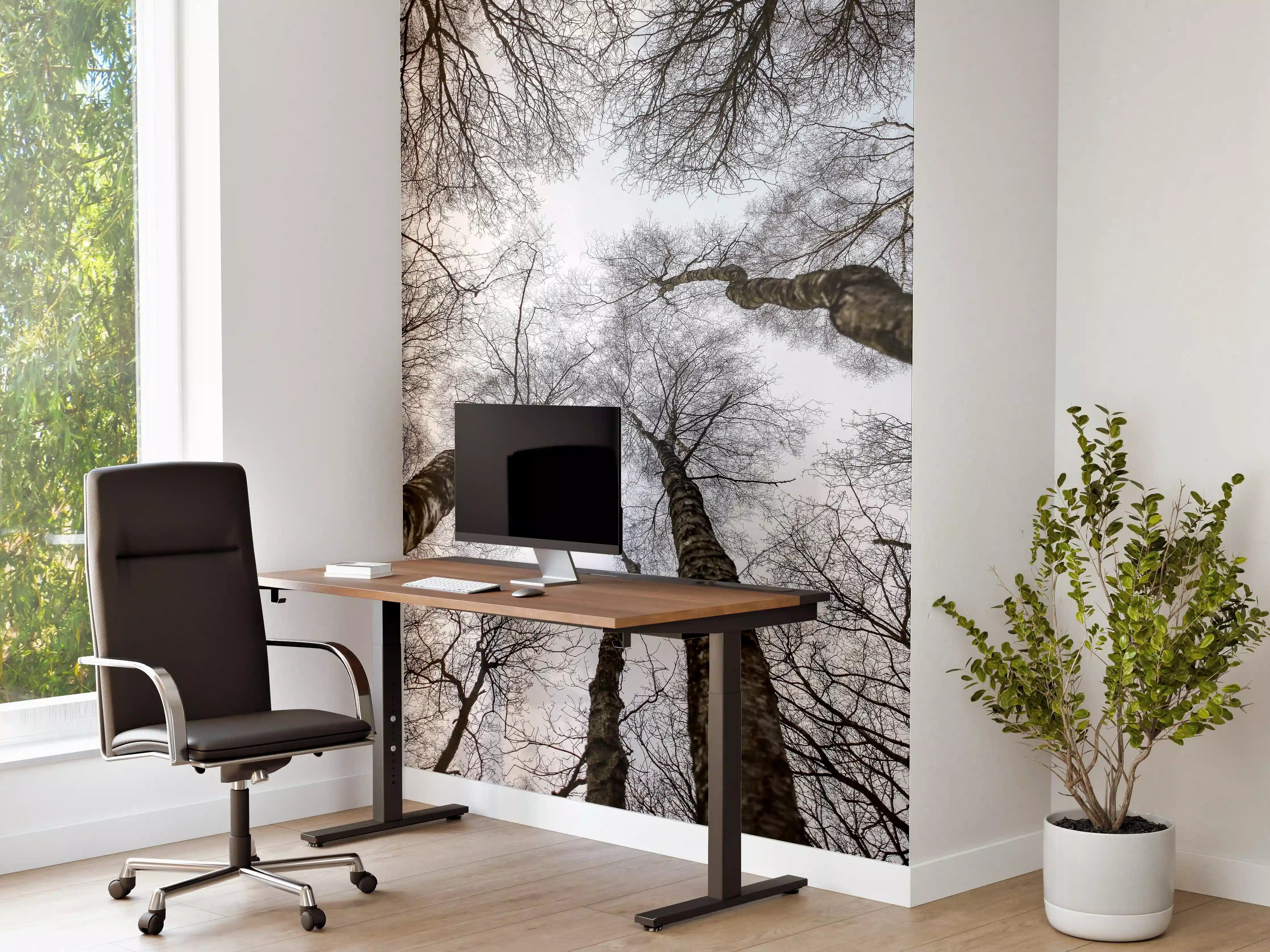 Büro Wandgestaltung - Schnee Wald