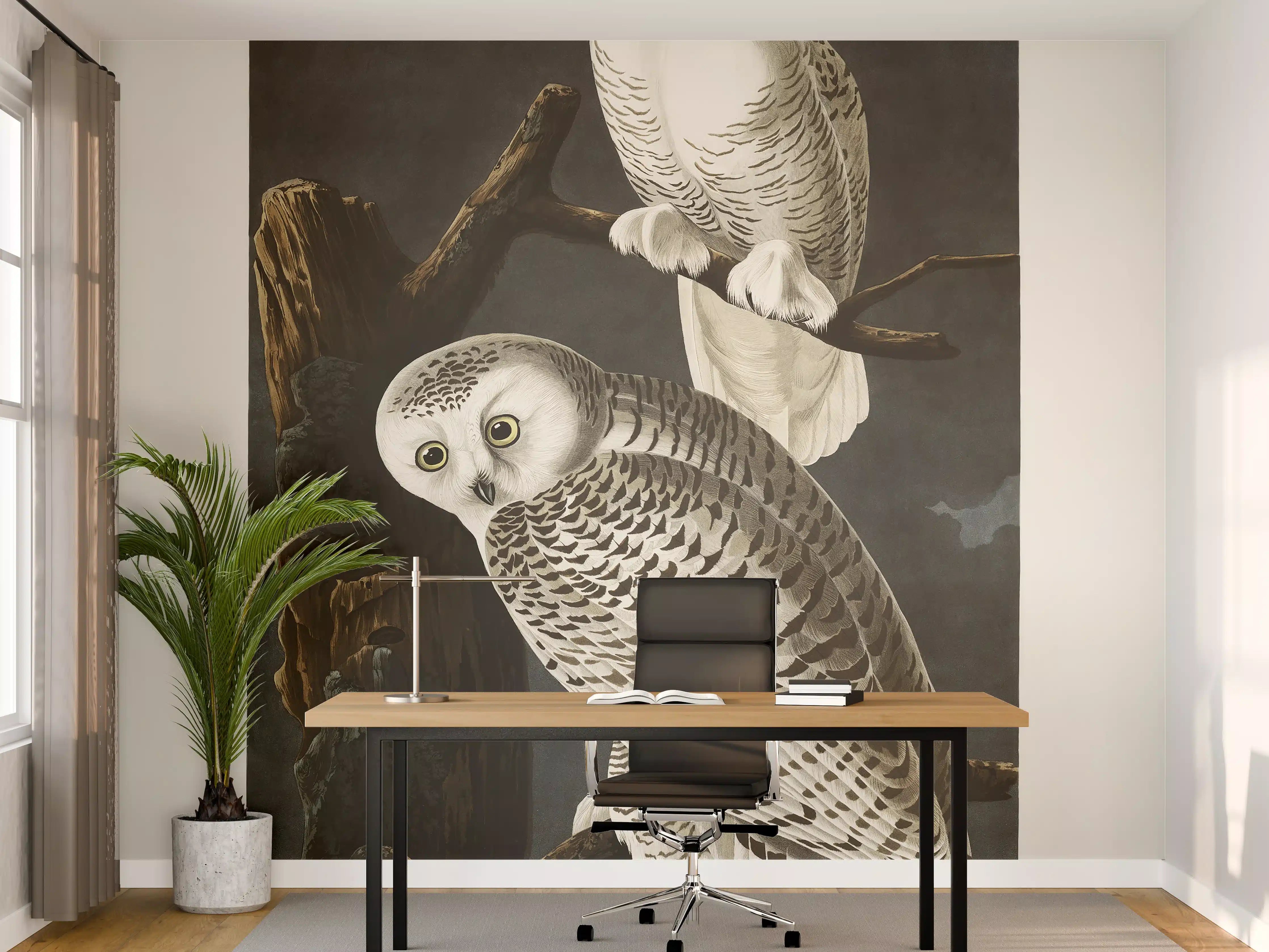 Büro Wandgestaltung - Schneeweiße Eulen - John James Audubon