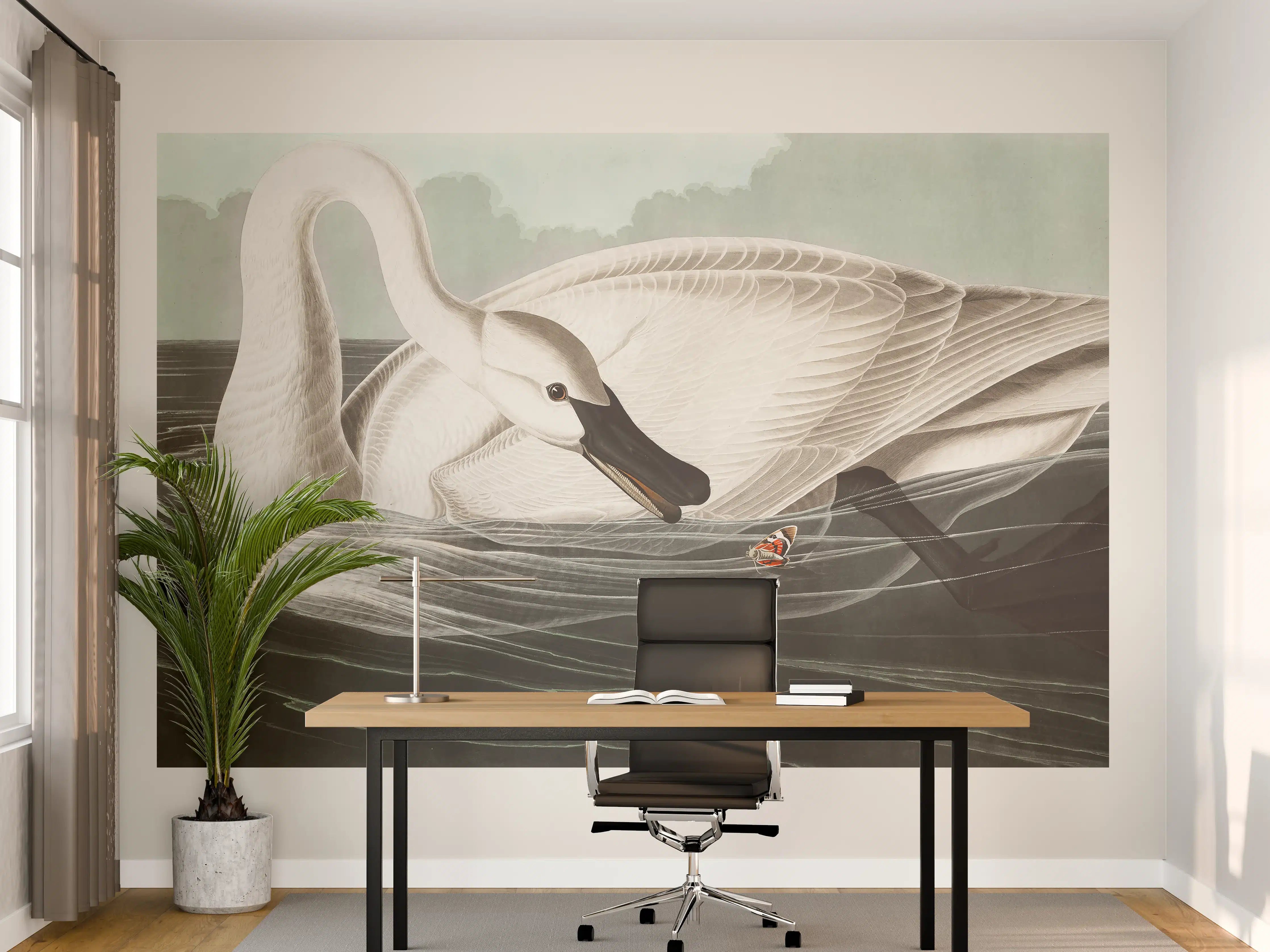 Büro Wandgestaltung - Schneeweißer Schwan - John James Audubon