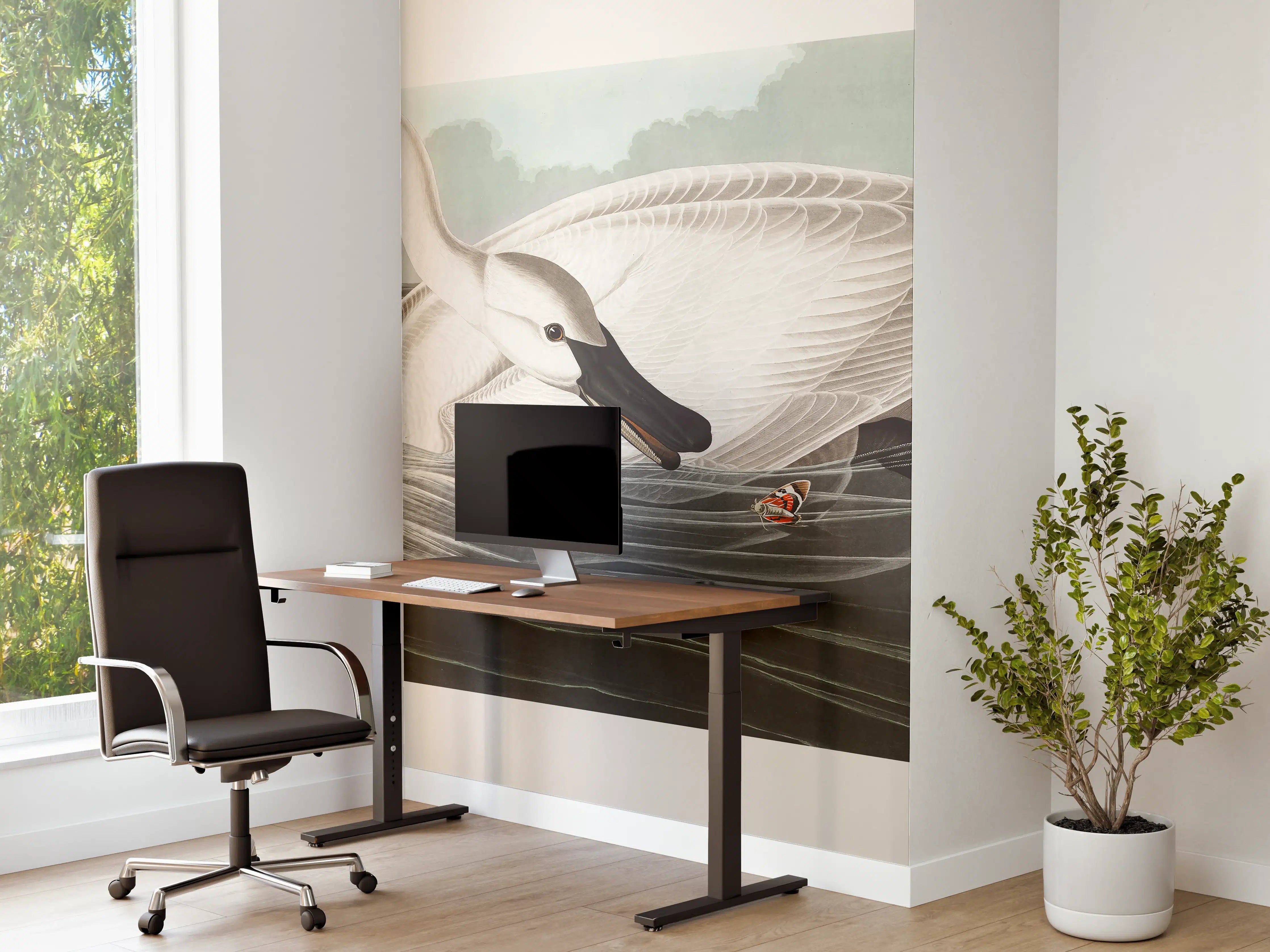 Büro Wandgestaltung - Schneeweißer Schwan - John James Audubon