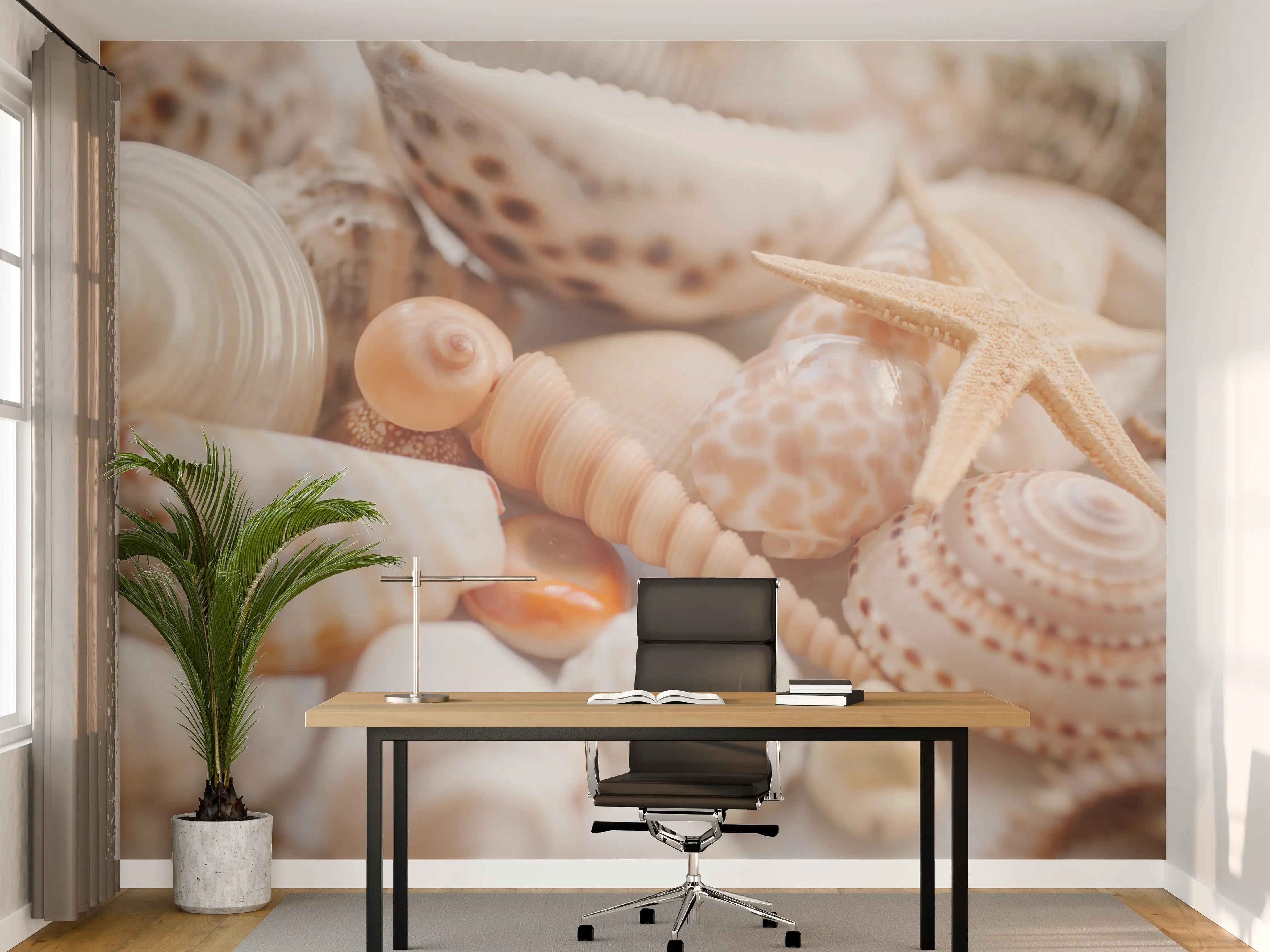 Büro Wandgestaltung - Schöne Muschelsammlung
