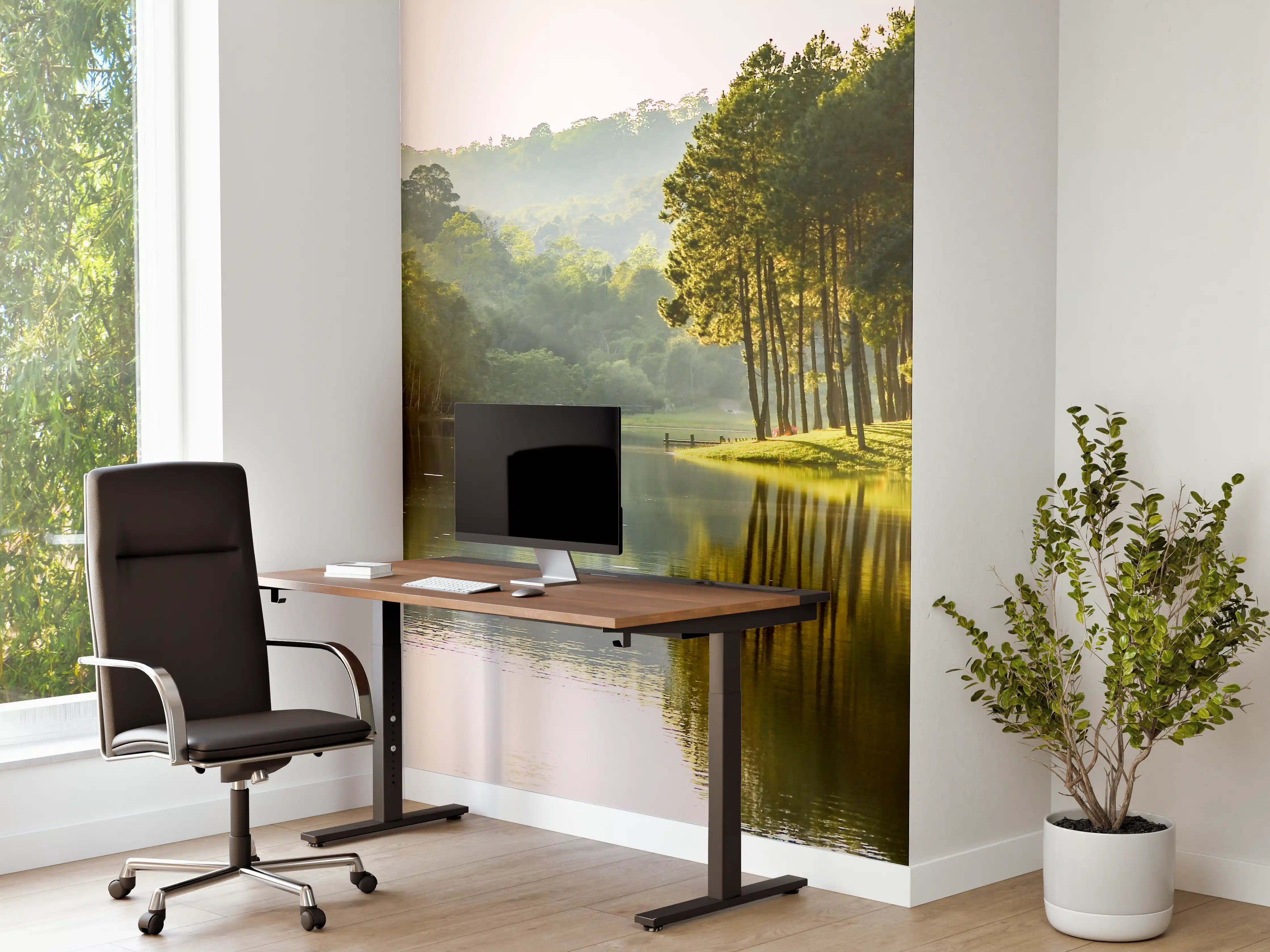 Büro Wandgestaltung - Schöne Seelandschaft mit Kiefernwald