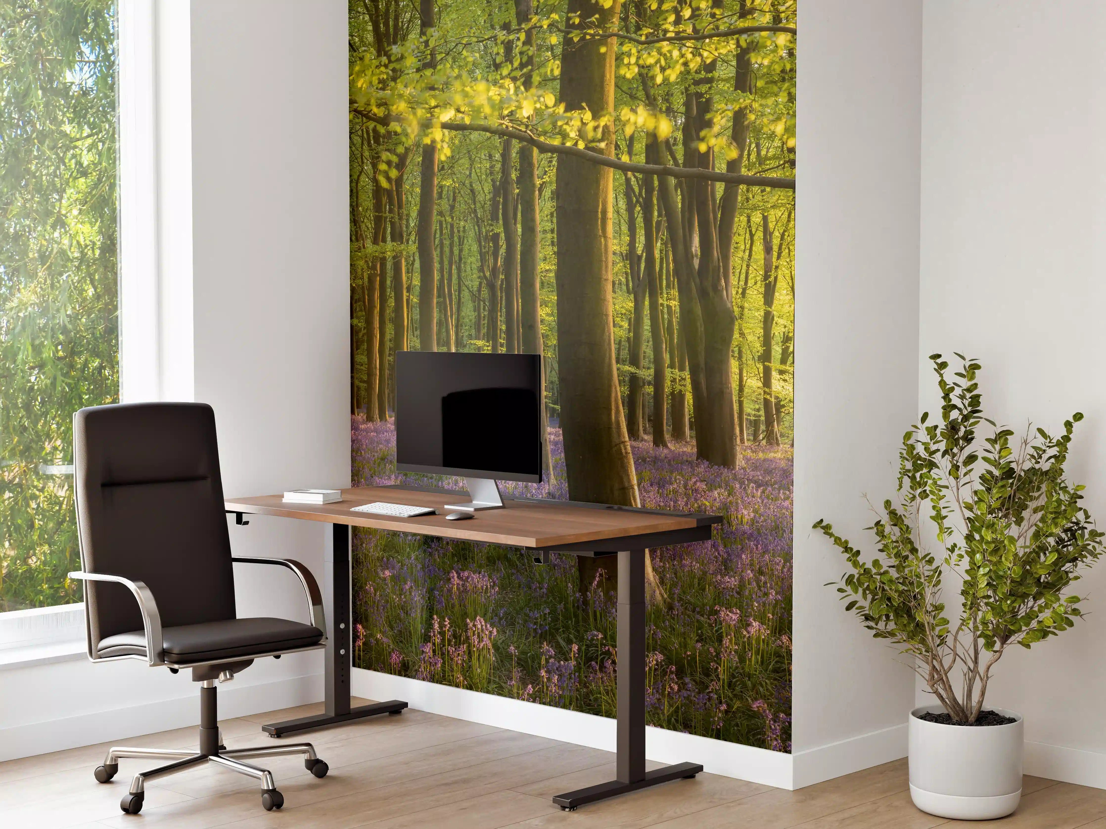 Büro Wandgestaltung - Schöner Blauglockenwald