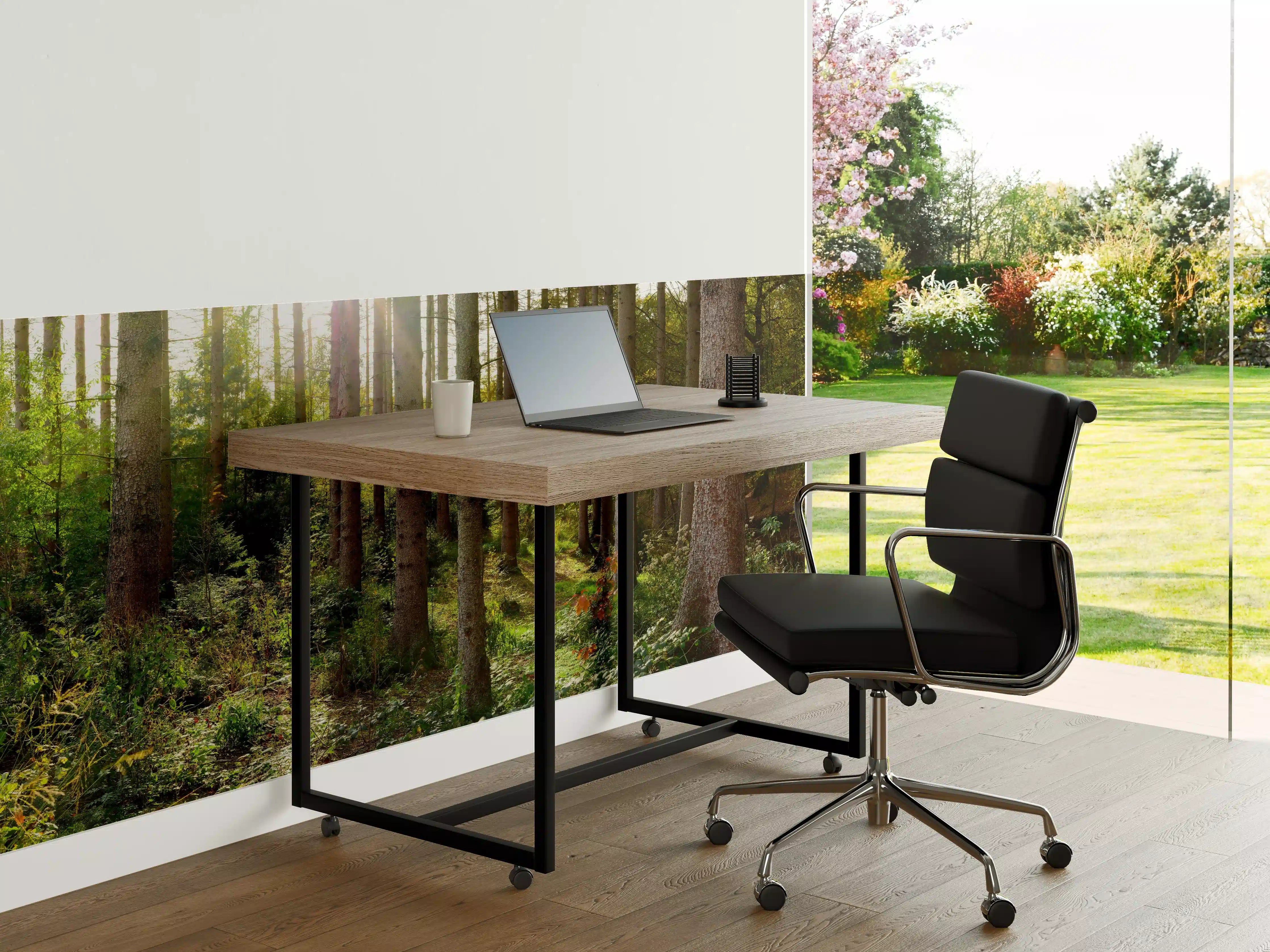 Büro Wandgestaltung - Schöner Fichtenwald im Herbst