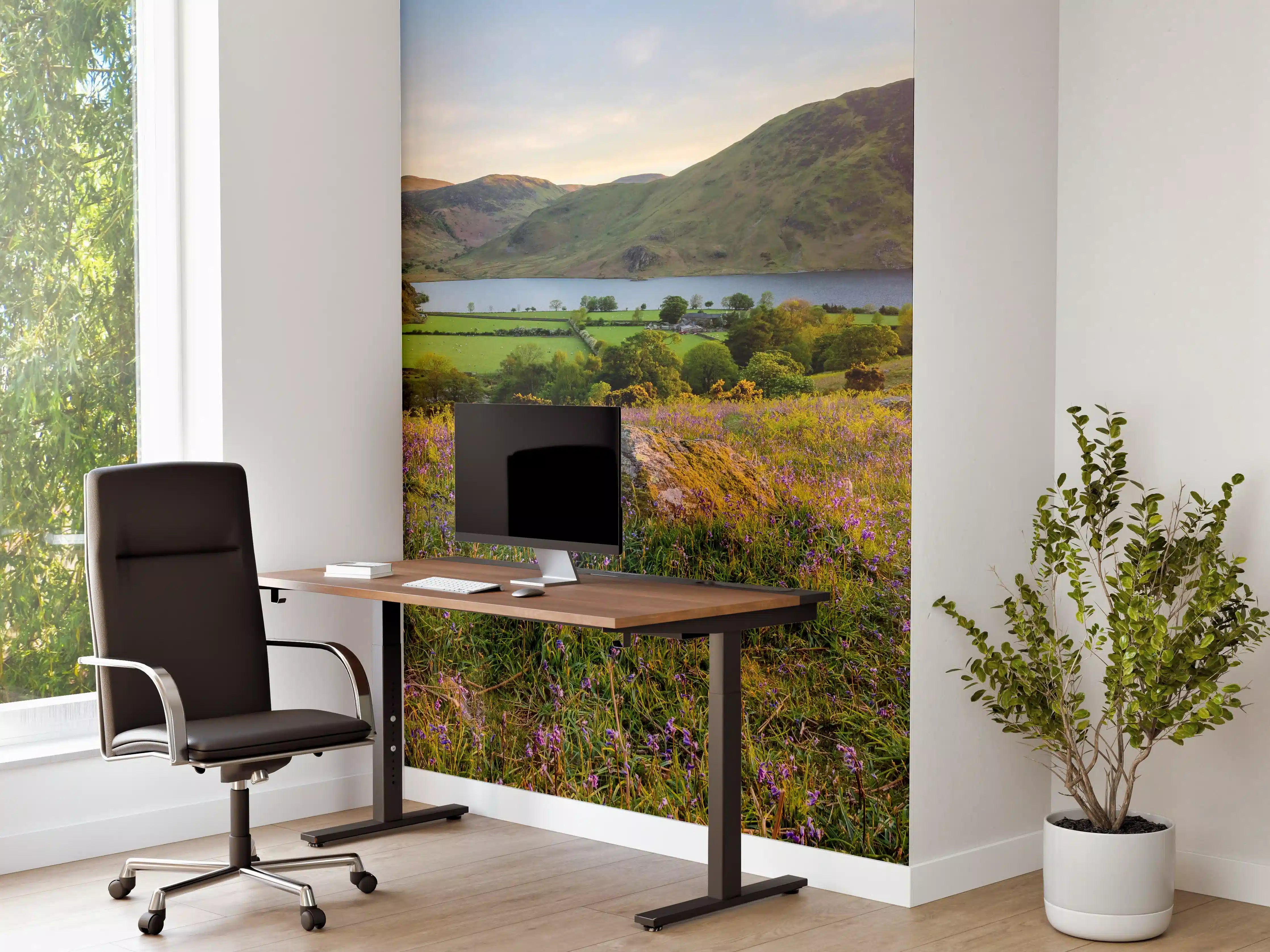 Büro Wandgestaltung - Schöner Sonnenuntergang bei Rannerdale Knots