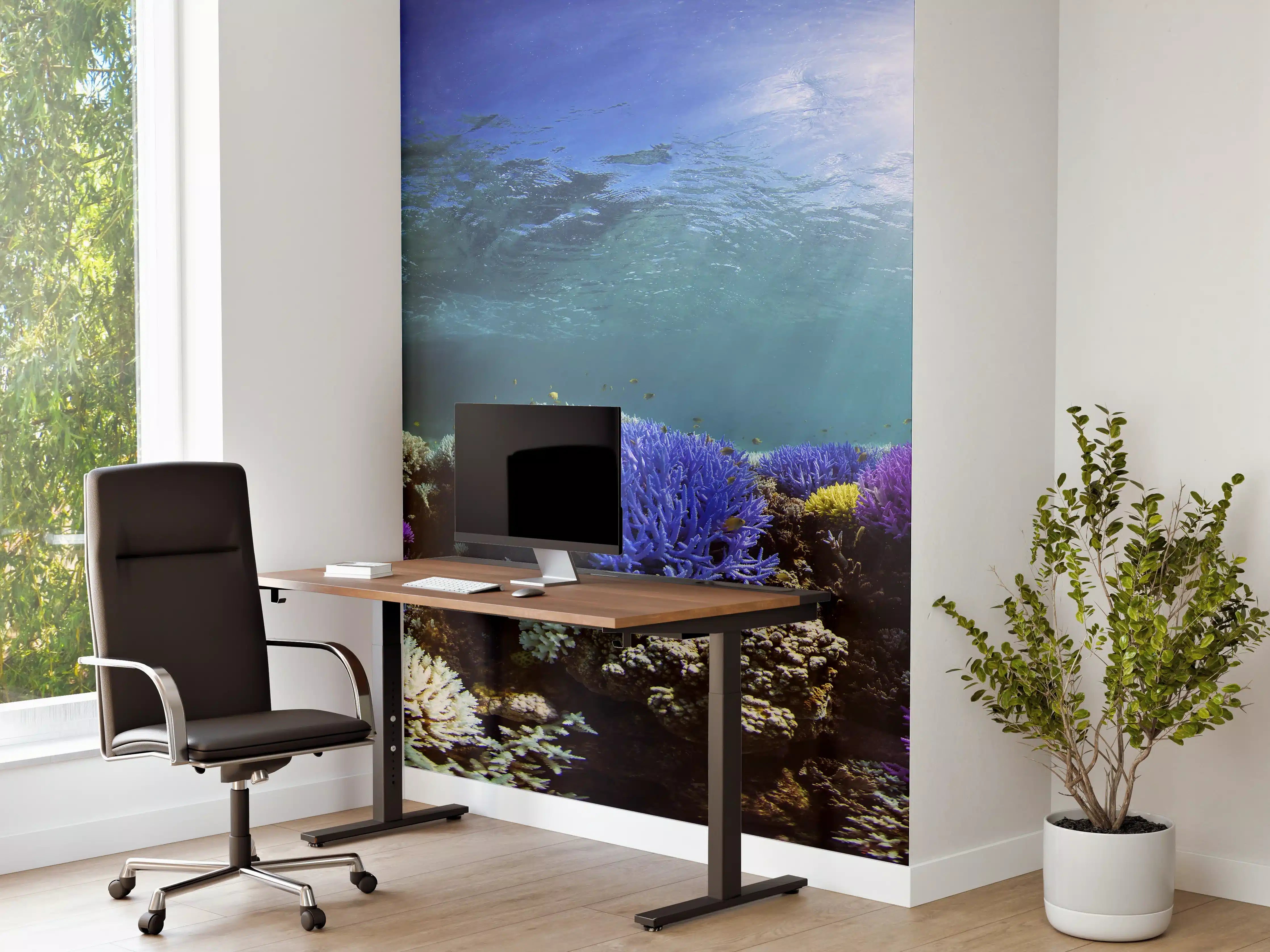 Büro Wandgestaltung - Schönes Korallenriff
