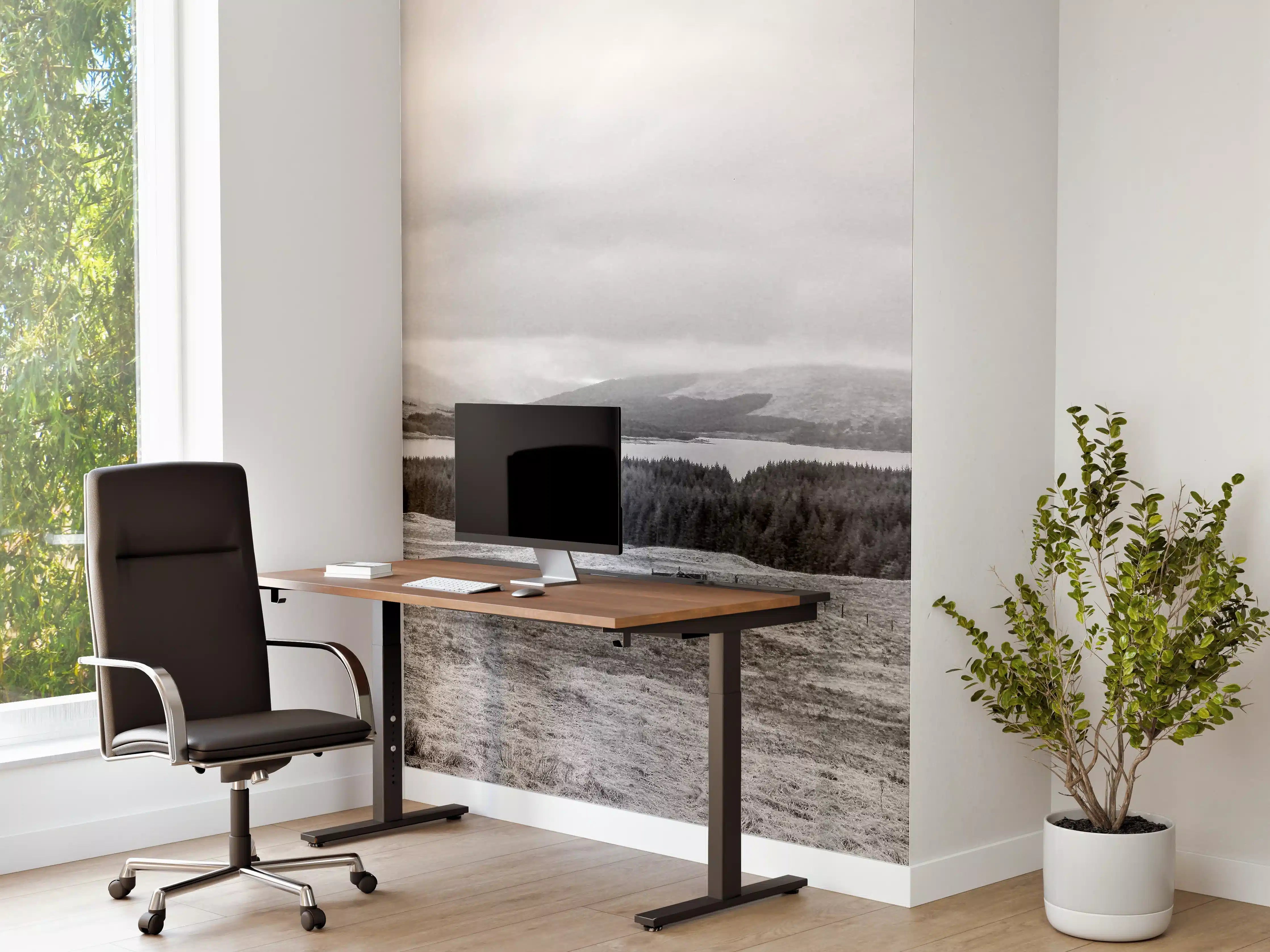 Büro Wandgestaltung - Schottische Highlands Panorama BW