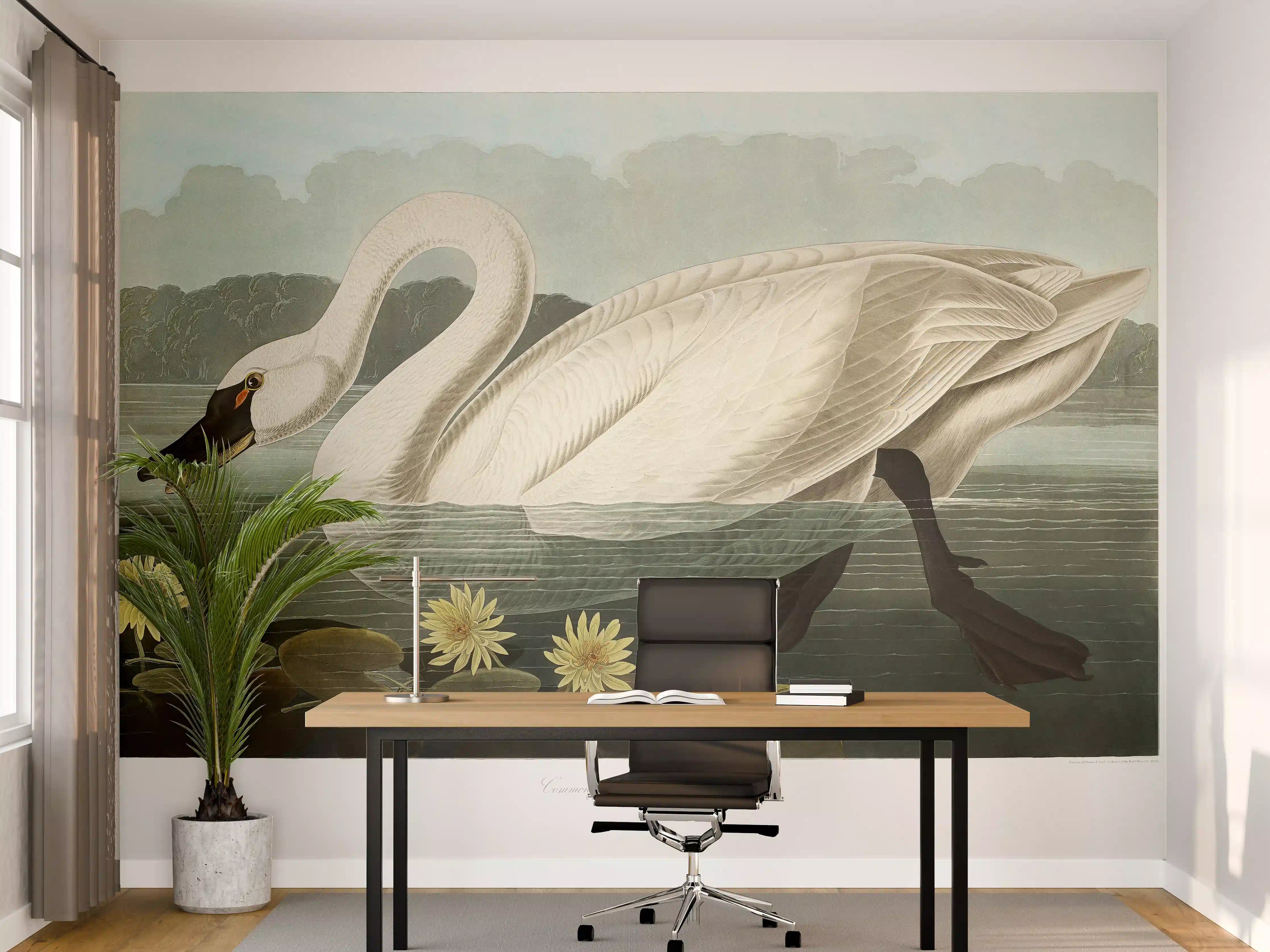 Büro Wandgestaltung - Schwan Portait - Robert Havell