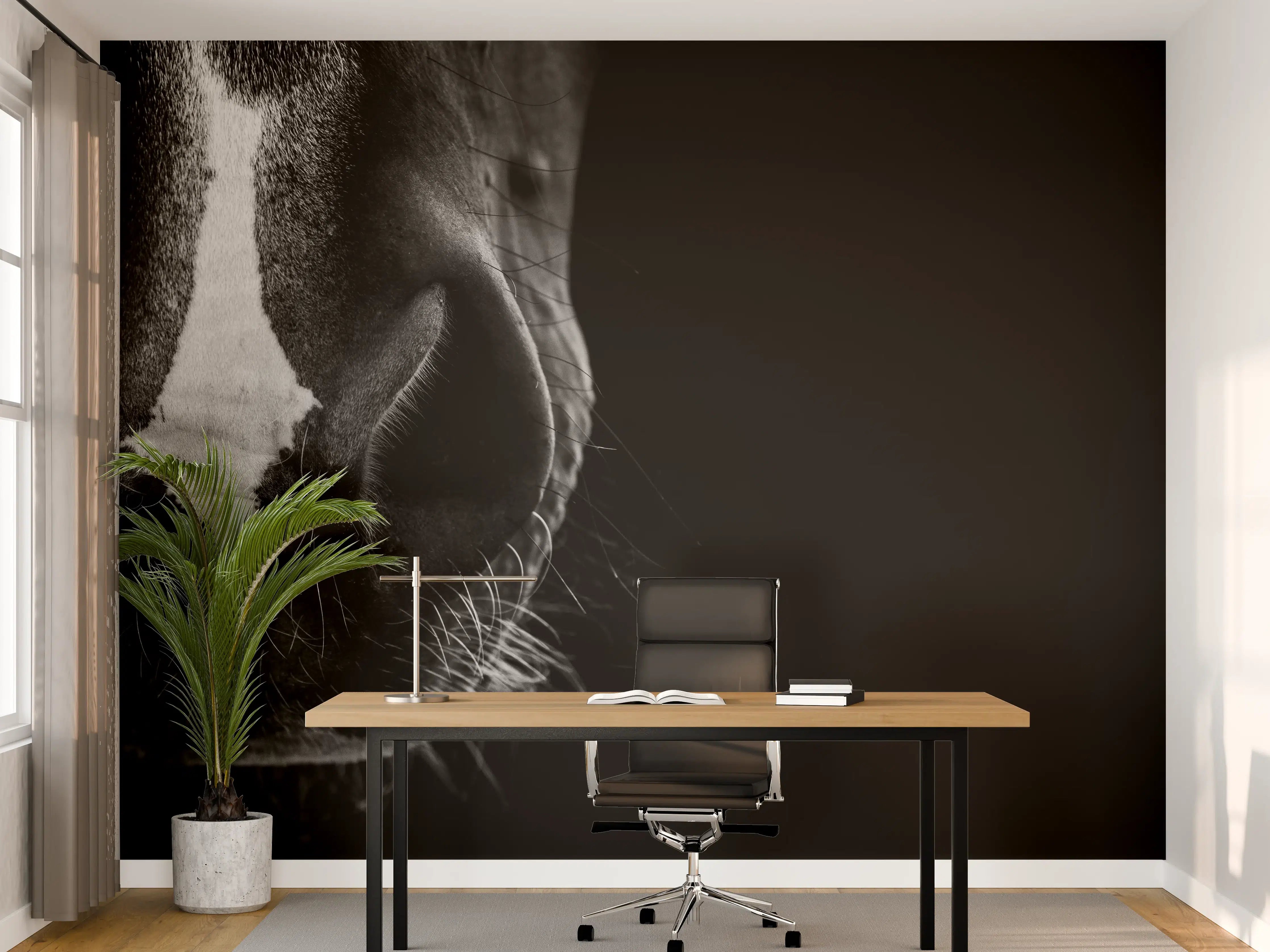 Büro Wandgestaltung - Schwarz-Weiß Pferd Nahaufnahme