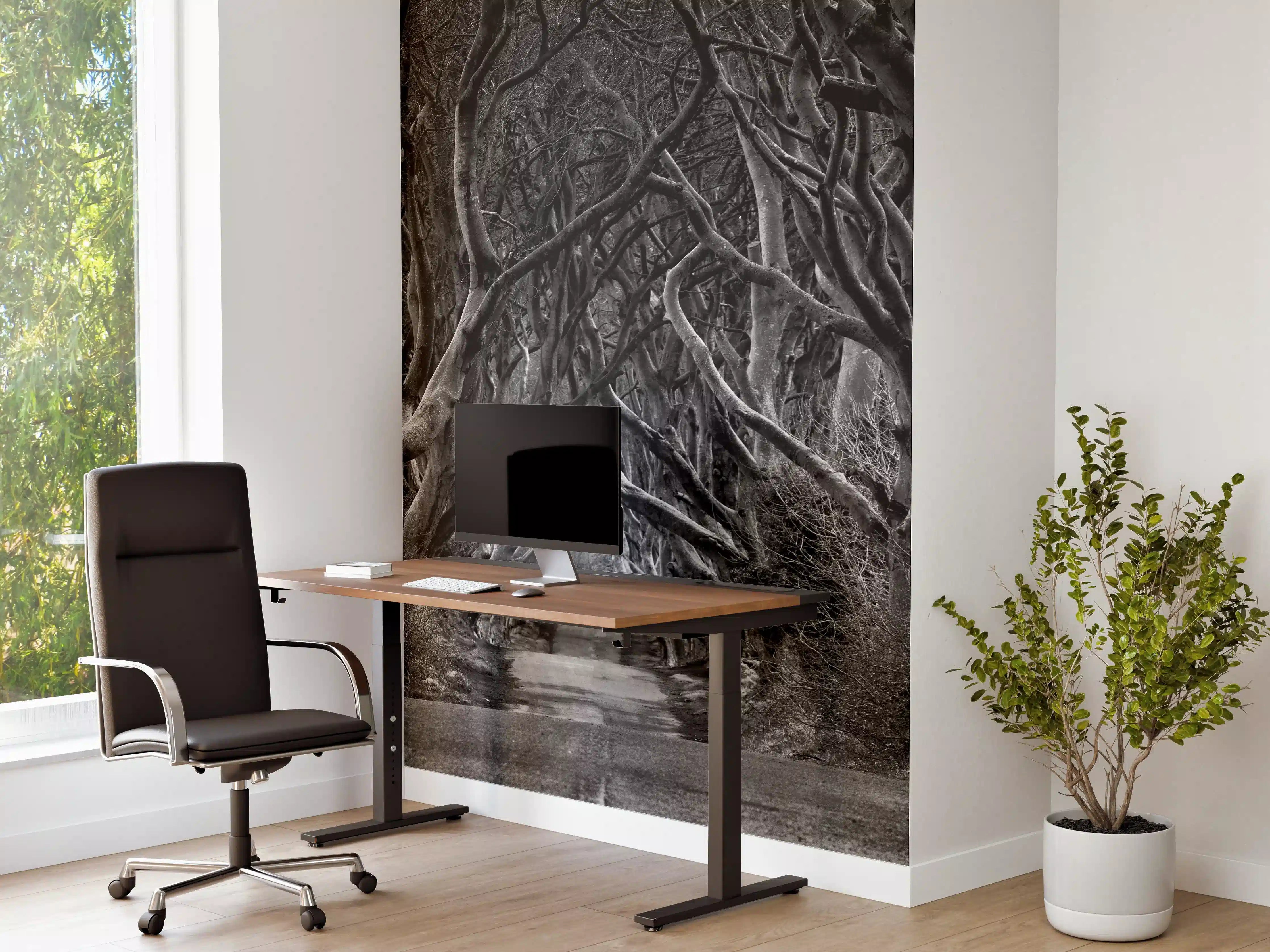 Büro Wandgestaltung - Schwarz, weißer Waldweg