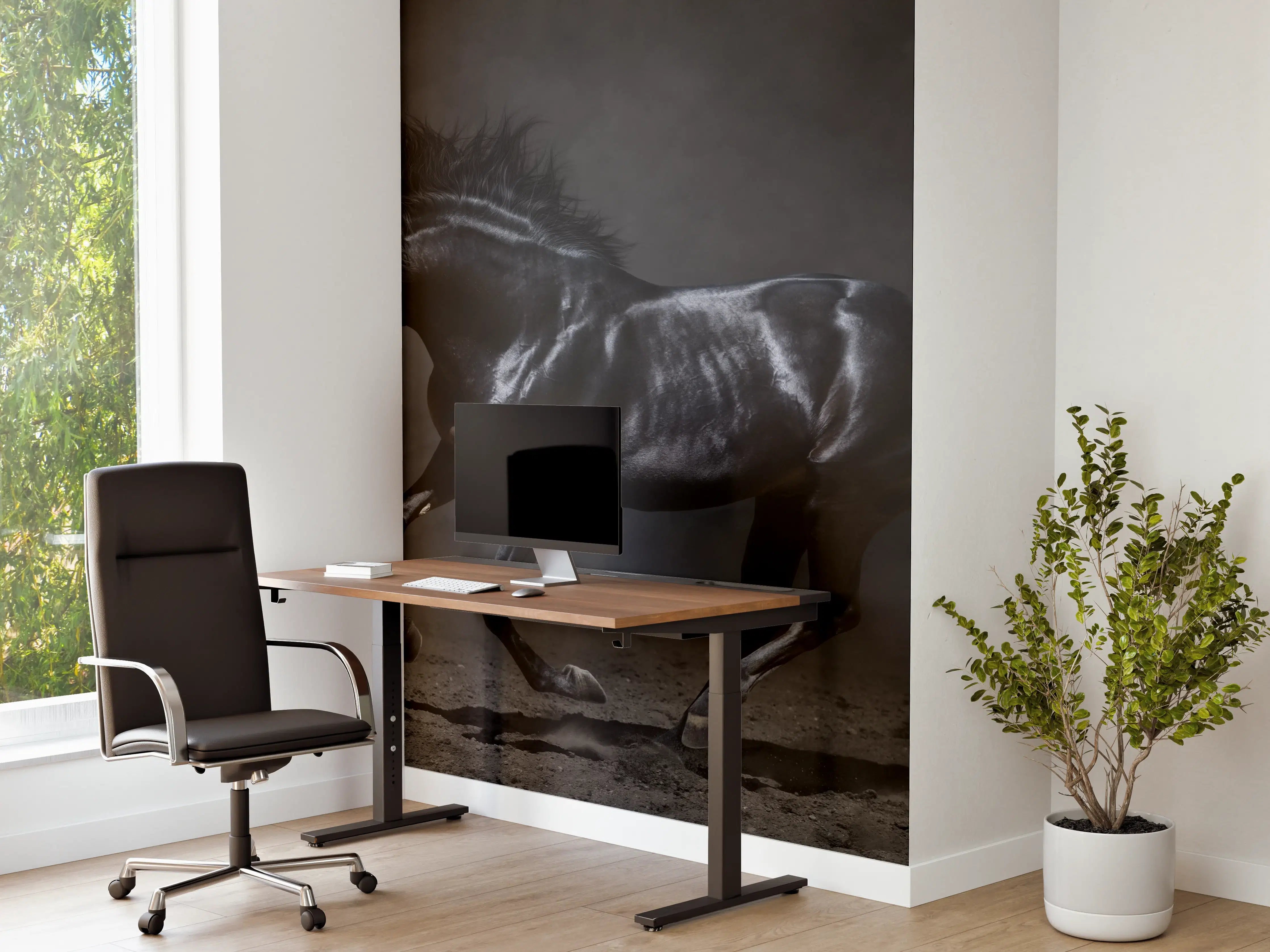 Büro Wandgestaltung - Schwarzer Hengst auf dunklem Hintergrund