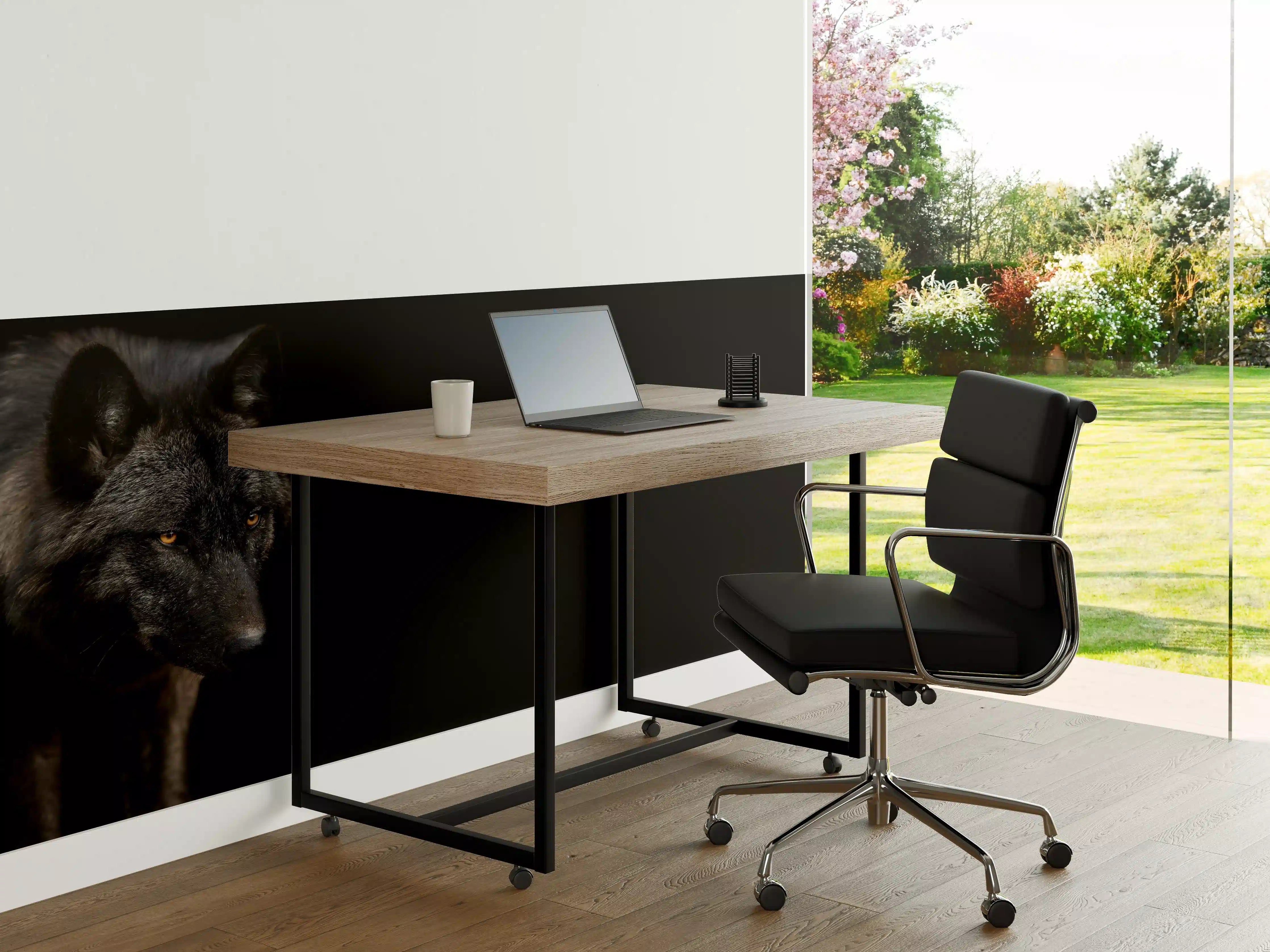 Büro Wandgestaltung - Schwarzer Wolf auf schwarzem Hintergrund