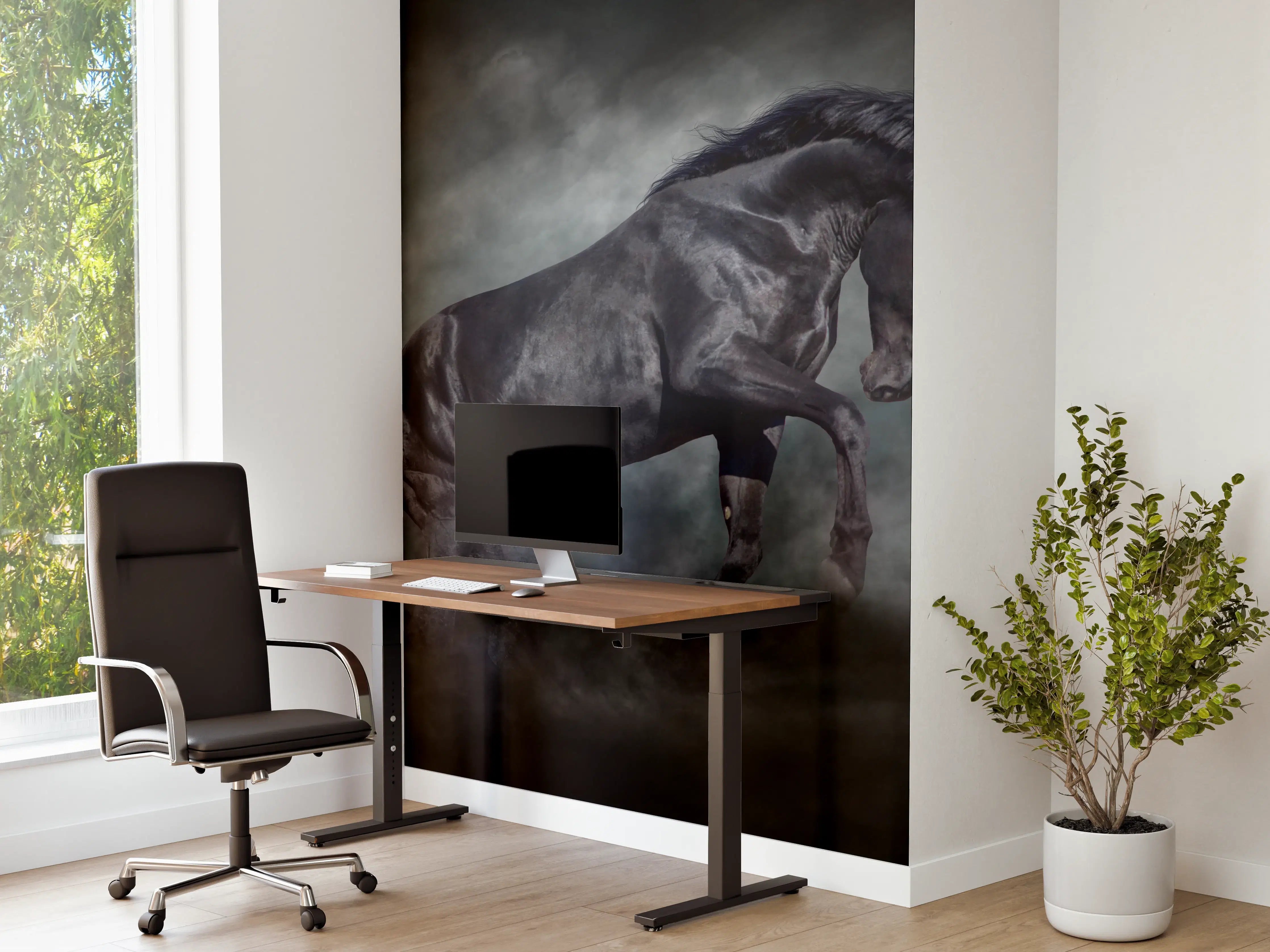 Büro Wandgestaltung - Schwarzer hengst