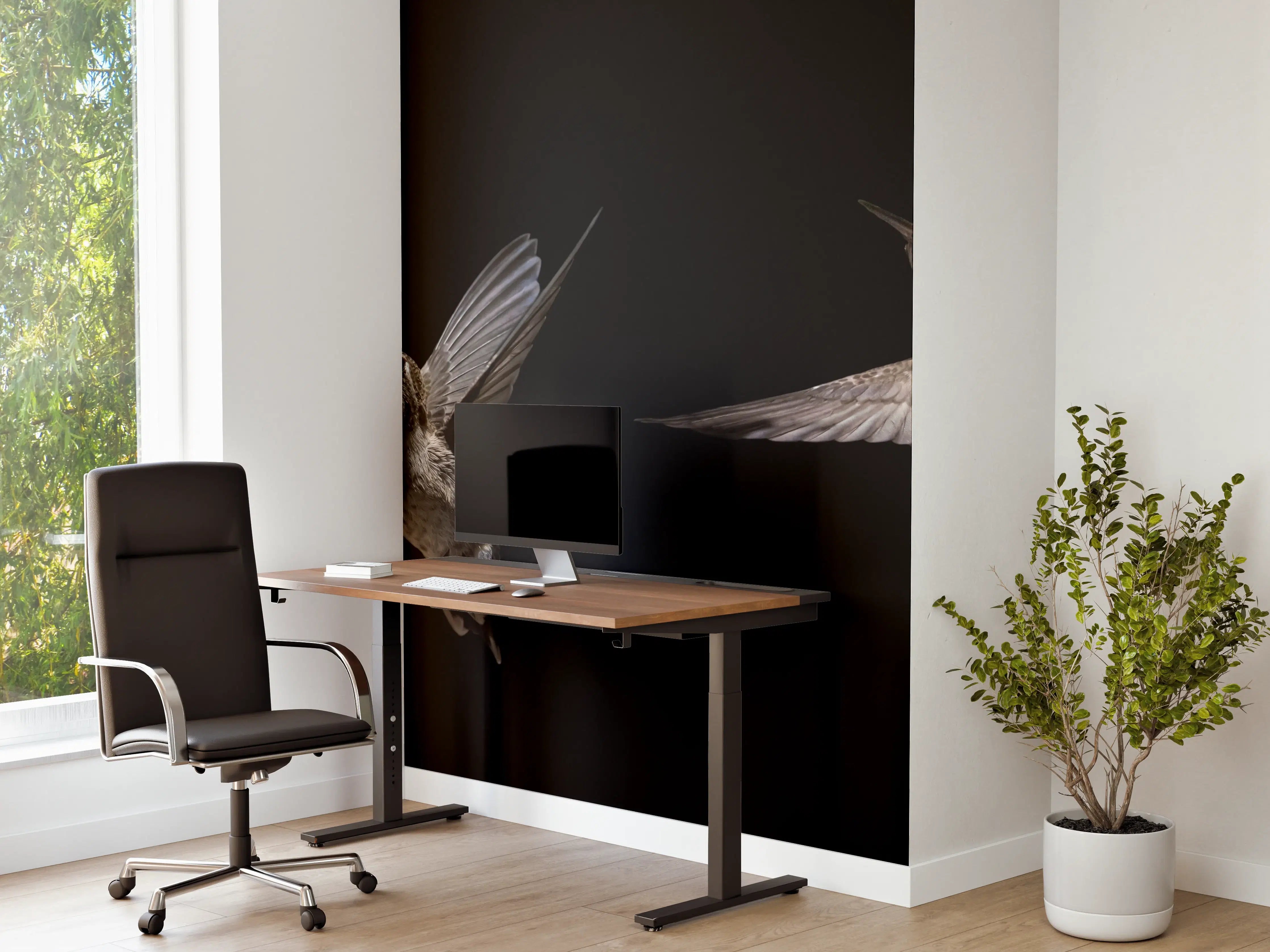 Büro Wandgestaltung - Schwarzkinnkolibri Vogel mit Schwarzem Hintergrund
