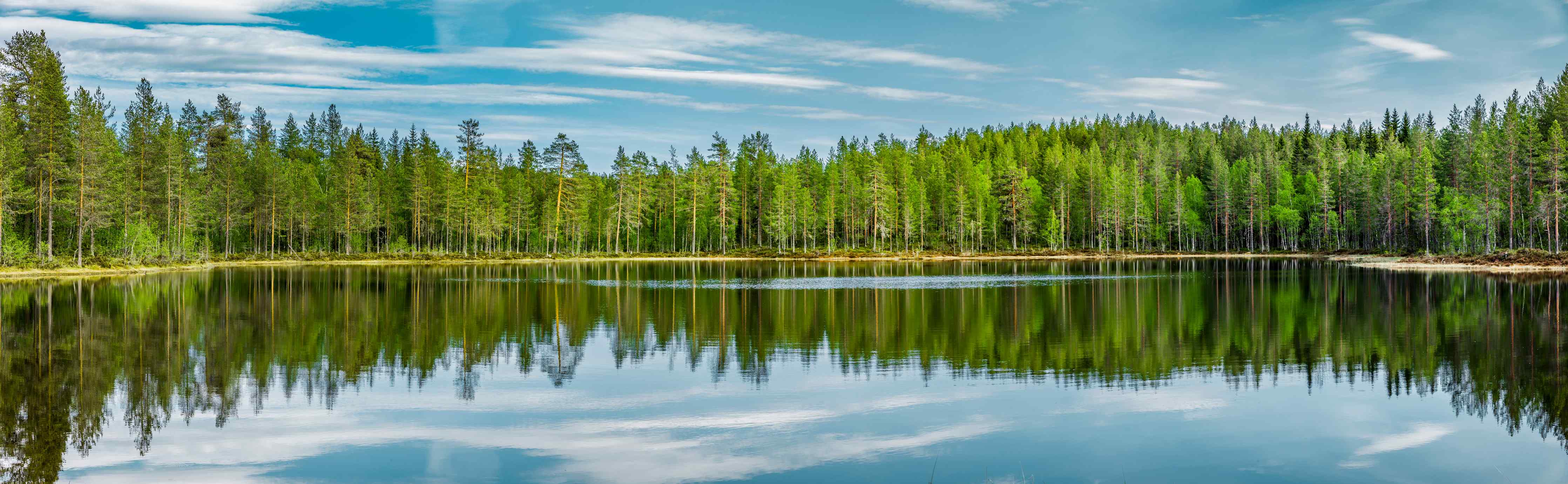 Büro Wandgestaltung-Schwedisches See-Panorama Grün-Blau