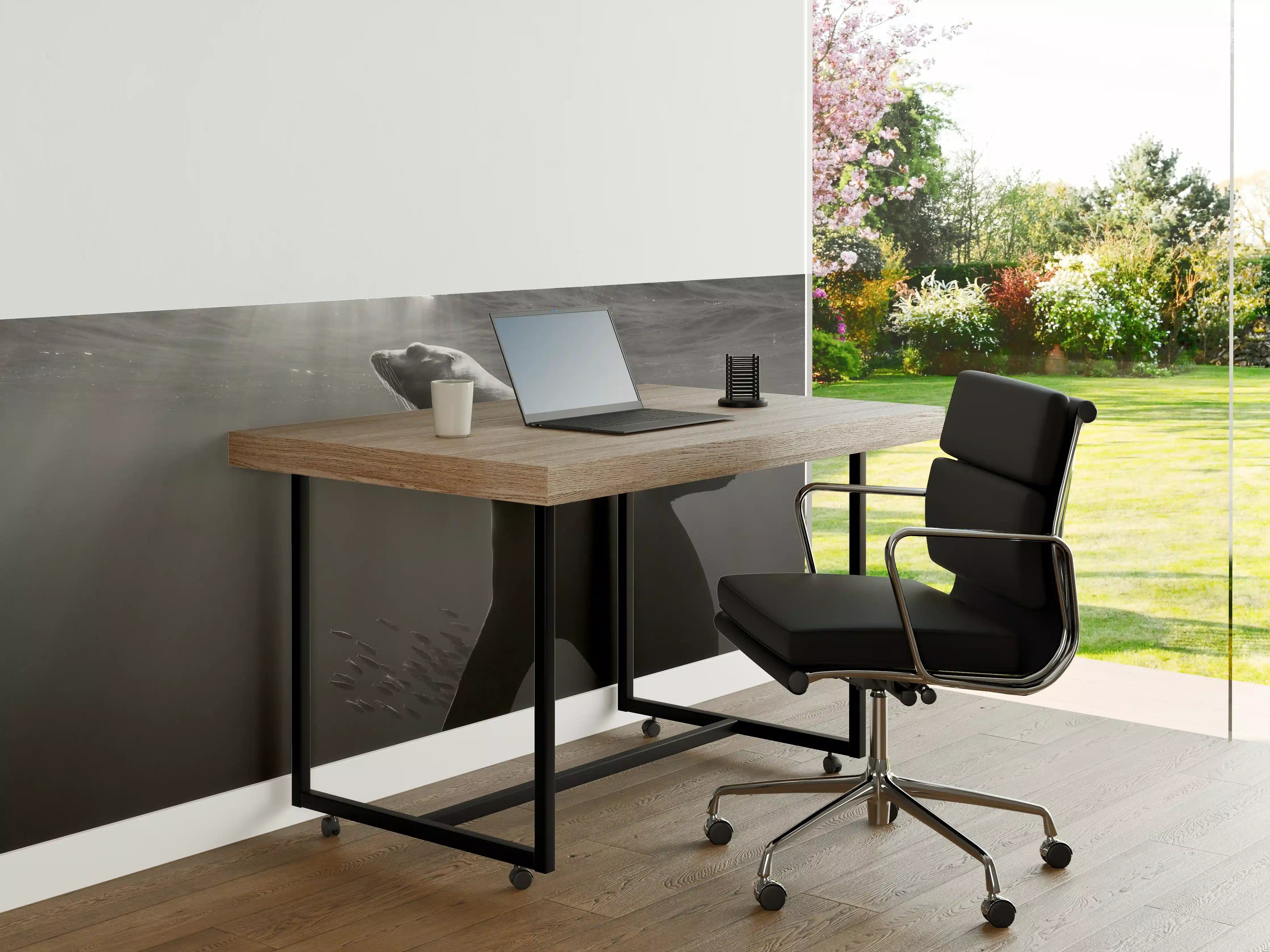 Büro Wandgestaltung - Seelöwe beim Fressen von Sardinen