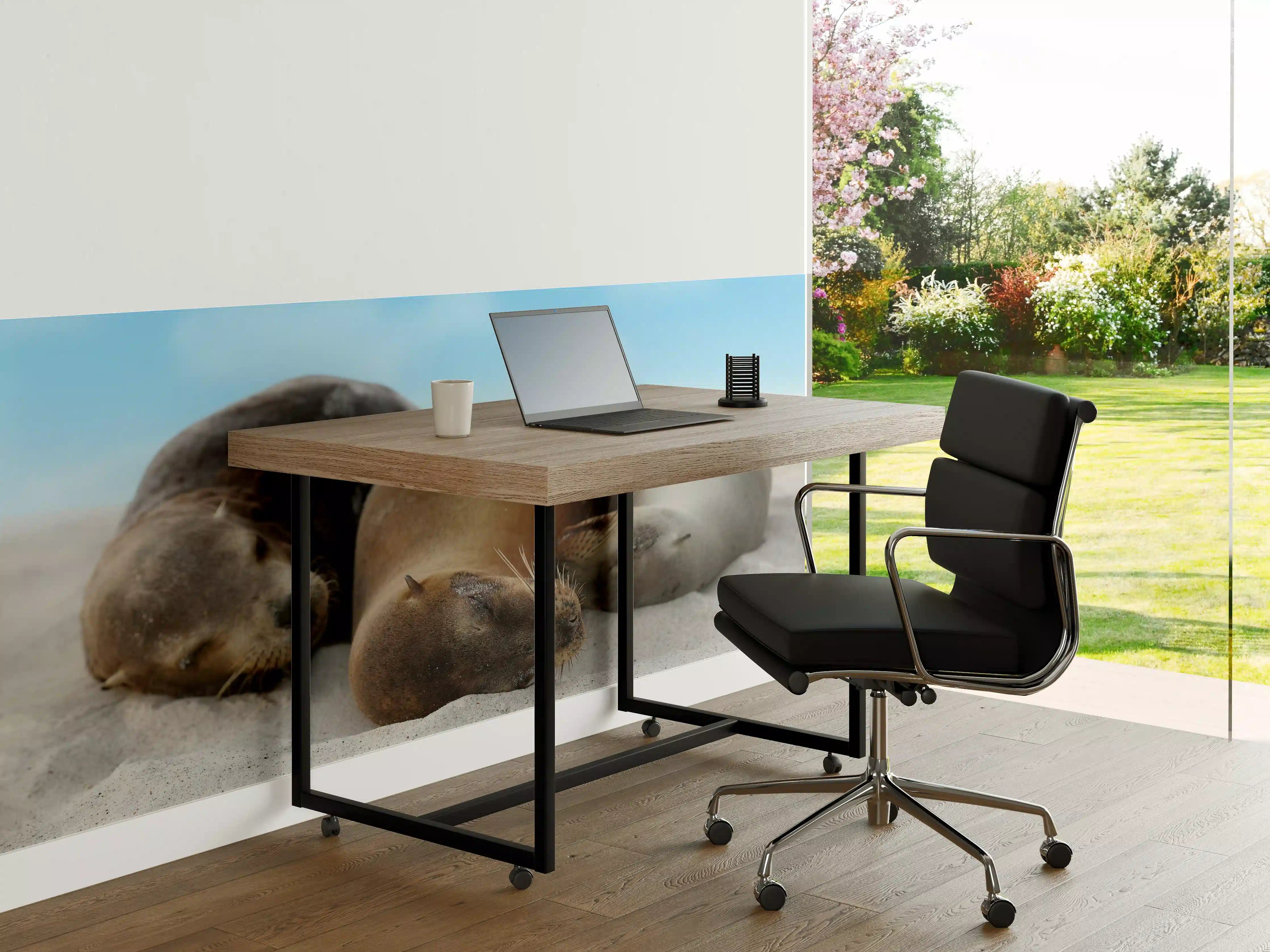 Büro Wandgestaltung - Seelöwen im Sand liegend