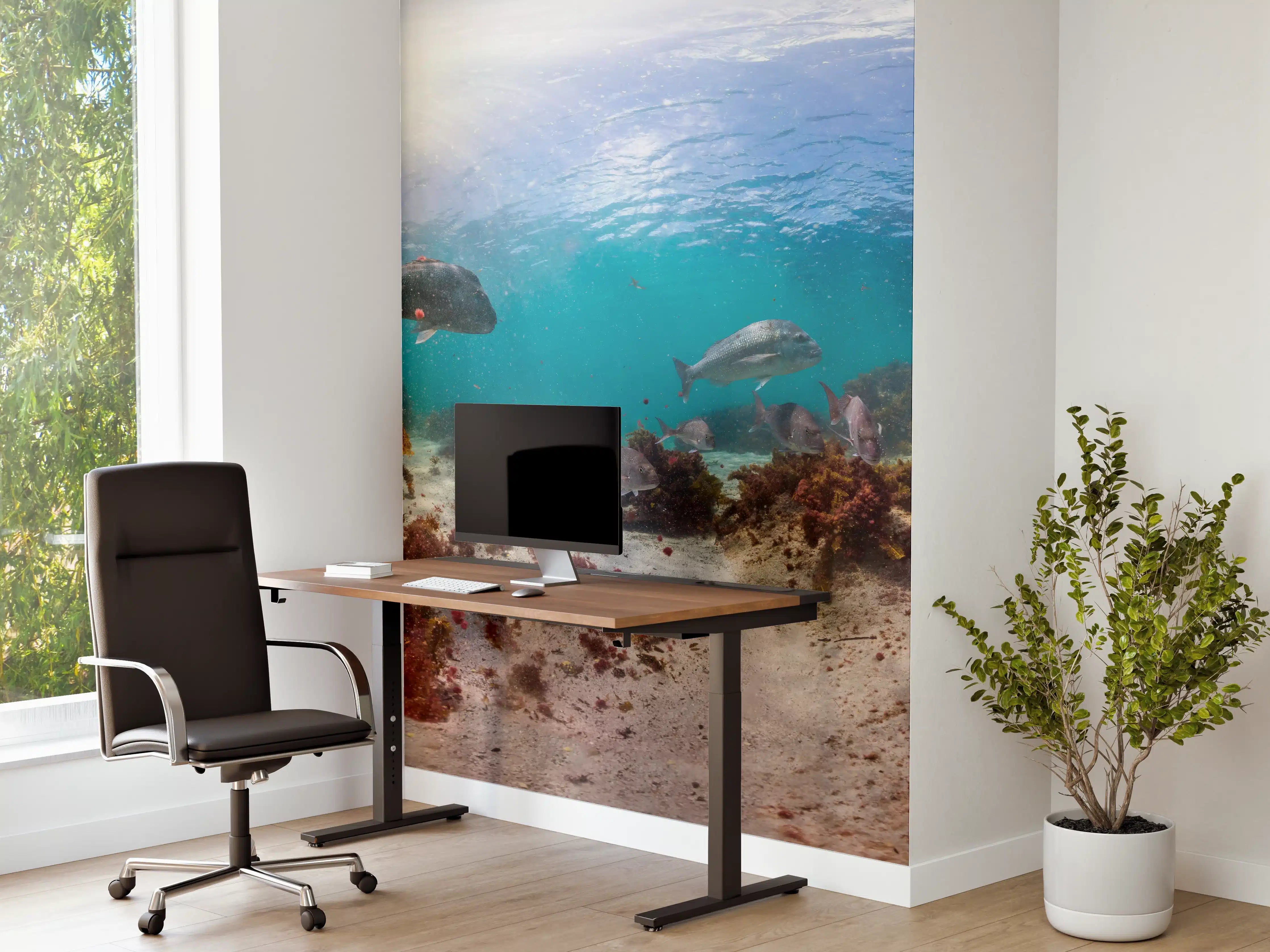 Büro Wandgestaltung - Seetang und Fisch in Neuseeland