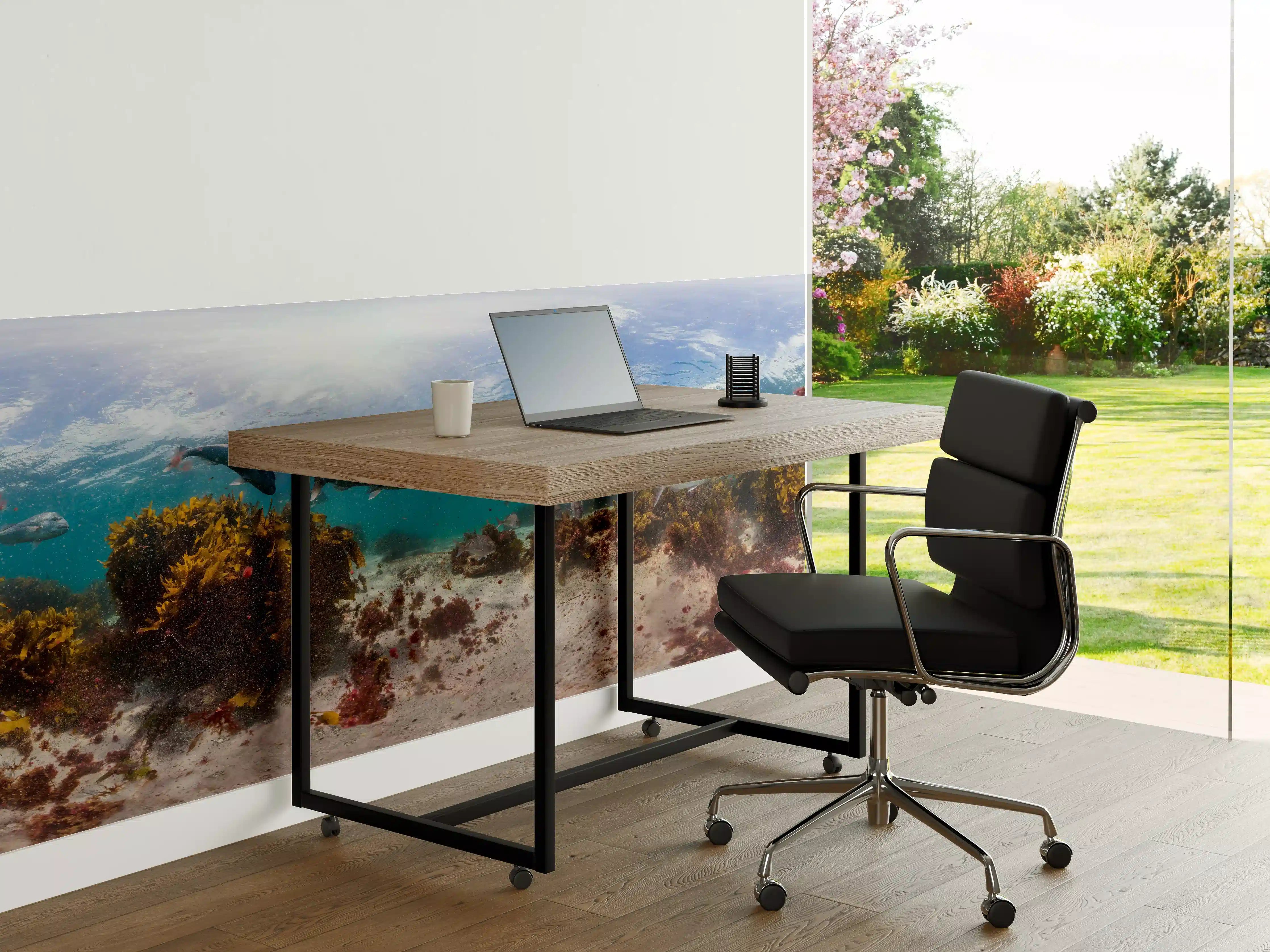 Büro Wandgestaltung - Seetang und Fisch in Neuseeland