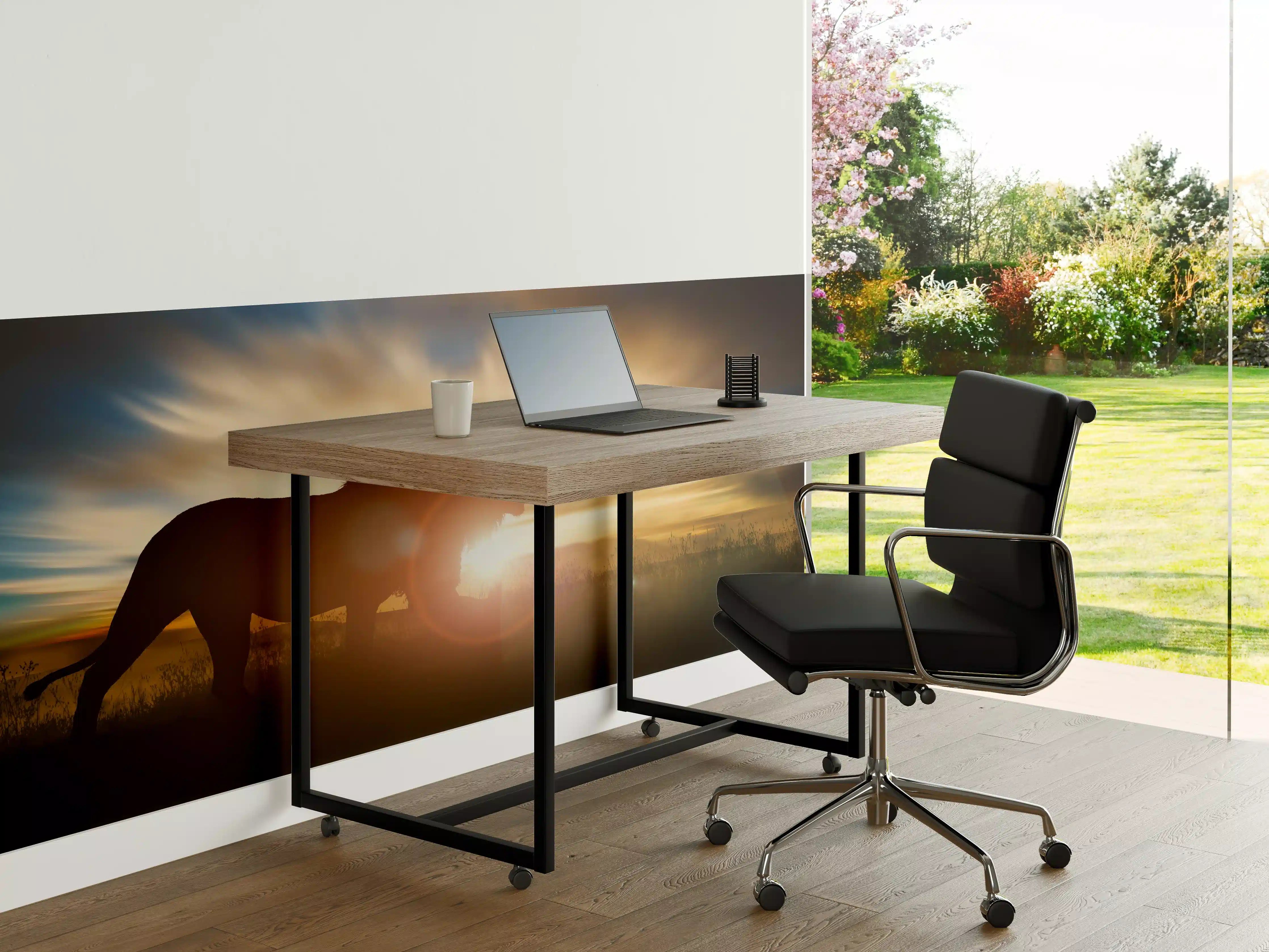 Büro Wandgestaltung - Silhouette eines großen erwachsenen Löwen in Afrika