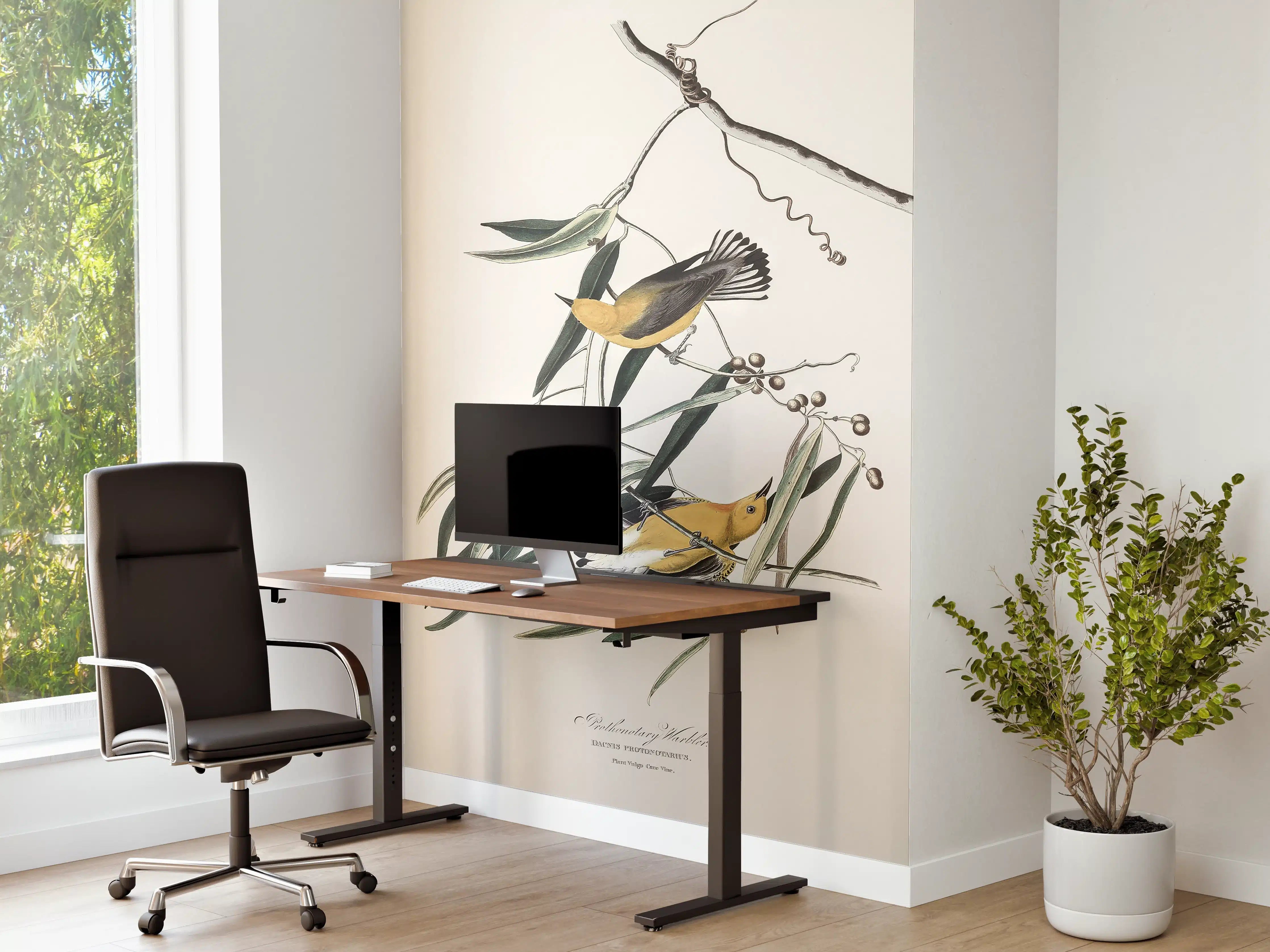 Büro Wandgestaltung - Singvogel Portrait - John James Audubon