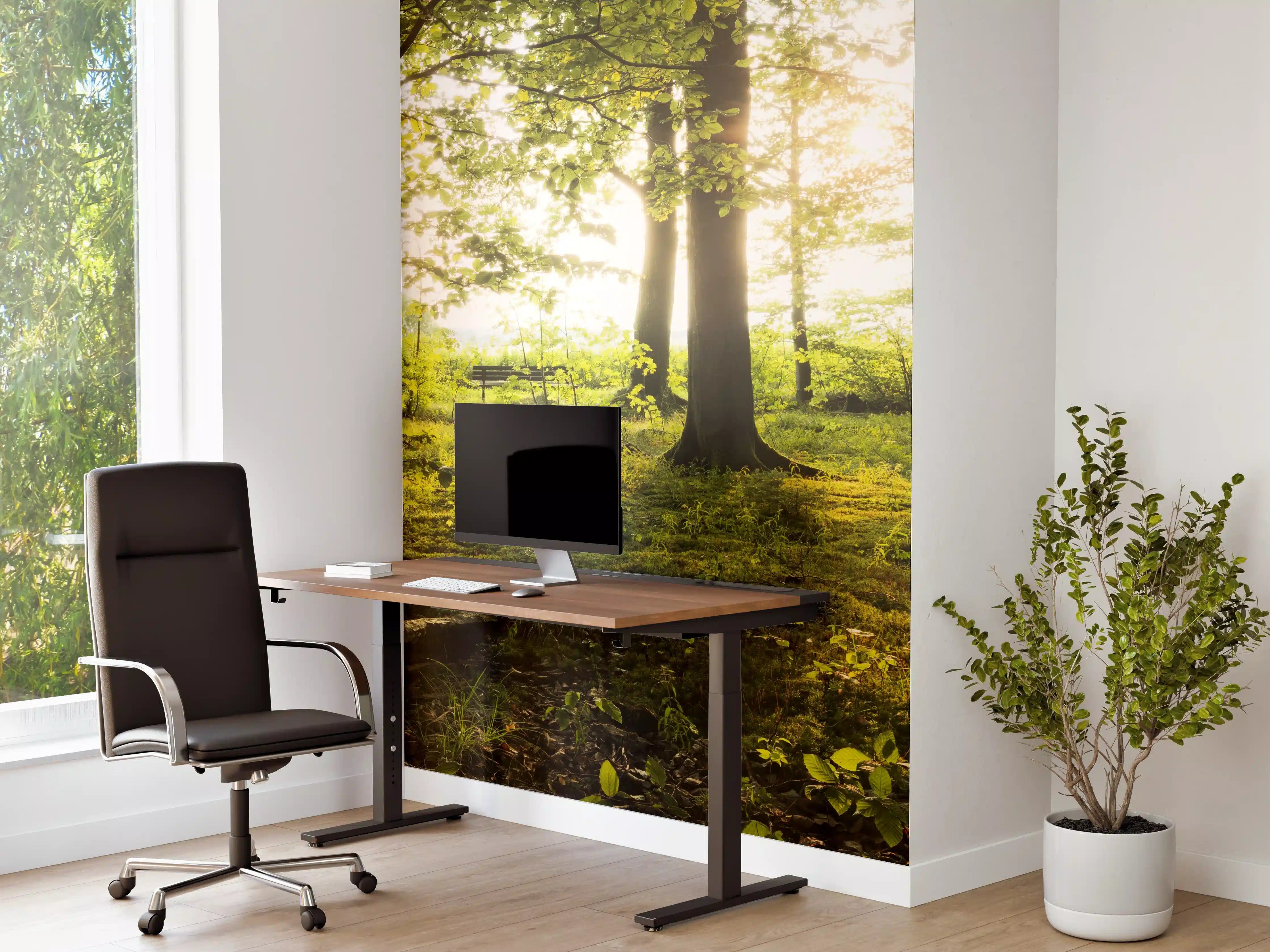 Büro Wandgestaltung - Sommer Wald