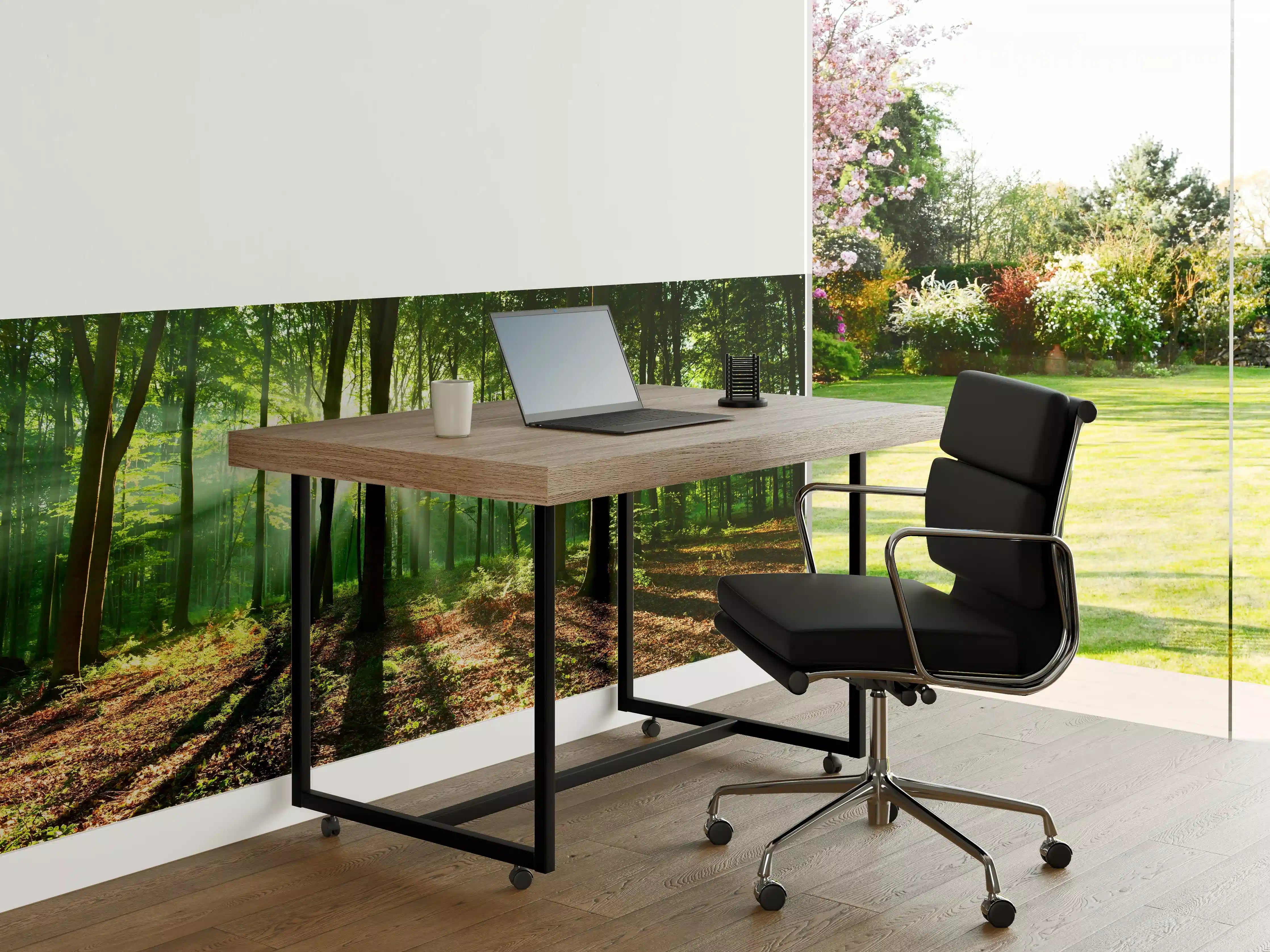 Büro Wandgestaltung - Sonnenaufgang im Bayrischem Wald
